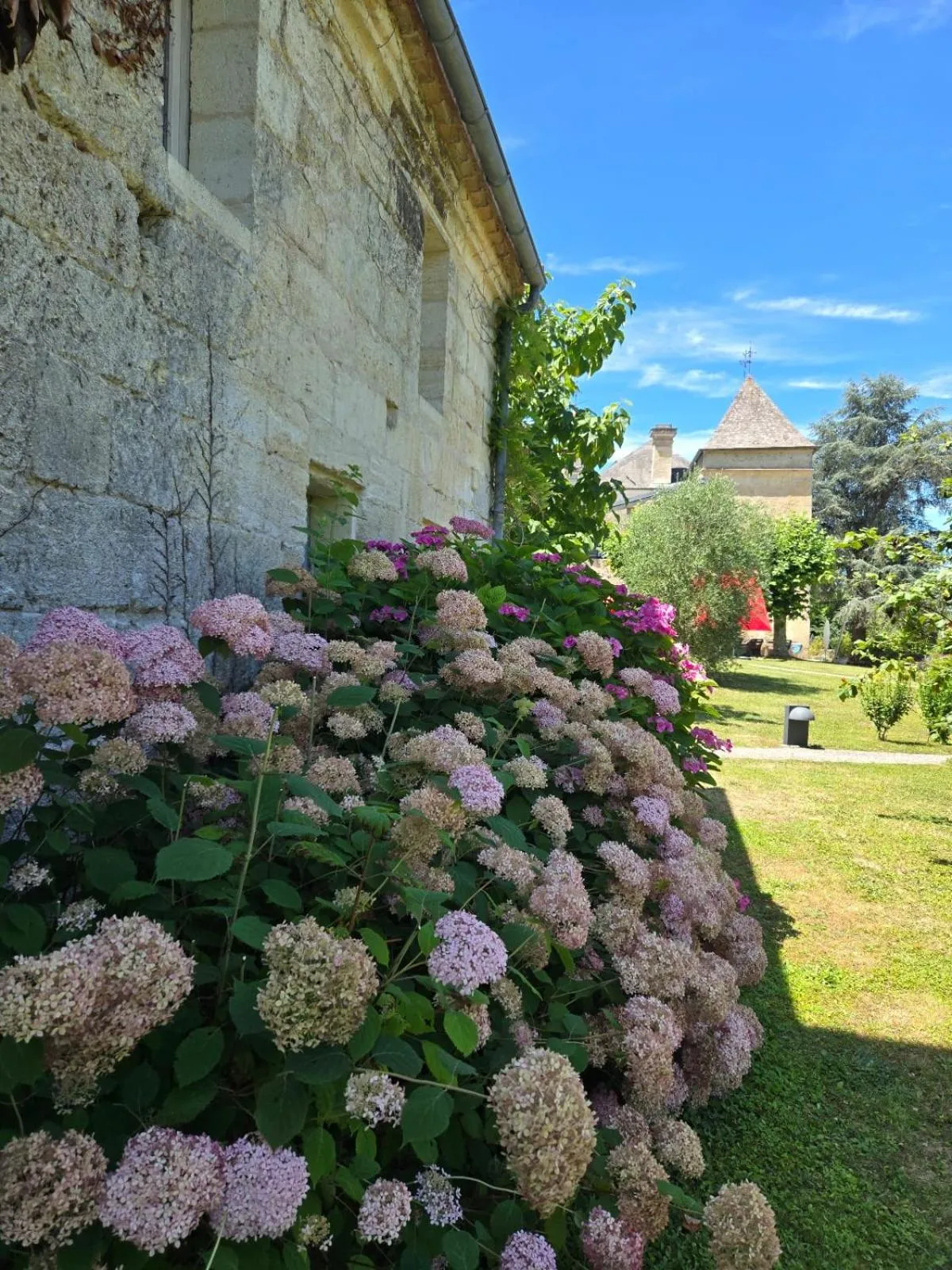 Garden view in Château de Courtebotte