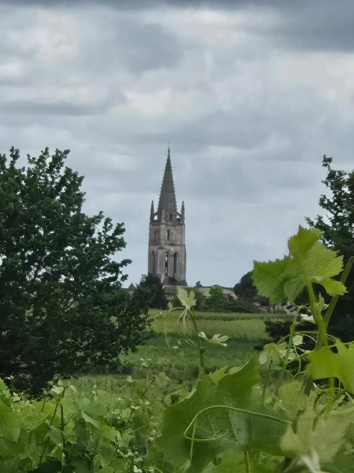 Nearby landmark in Château de Courtebotte