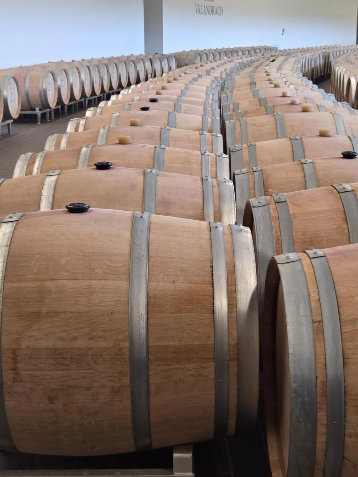 Activities in Château de Courtebotte