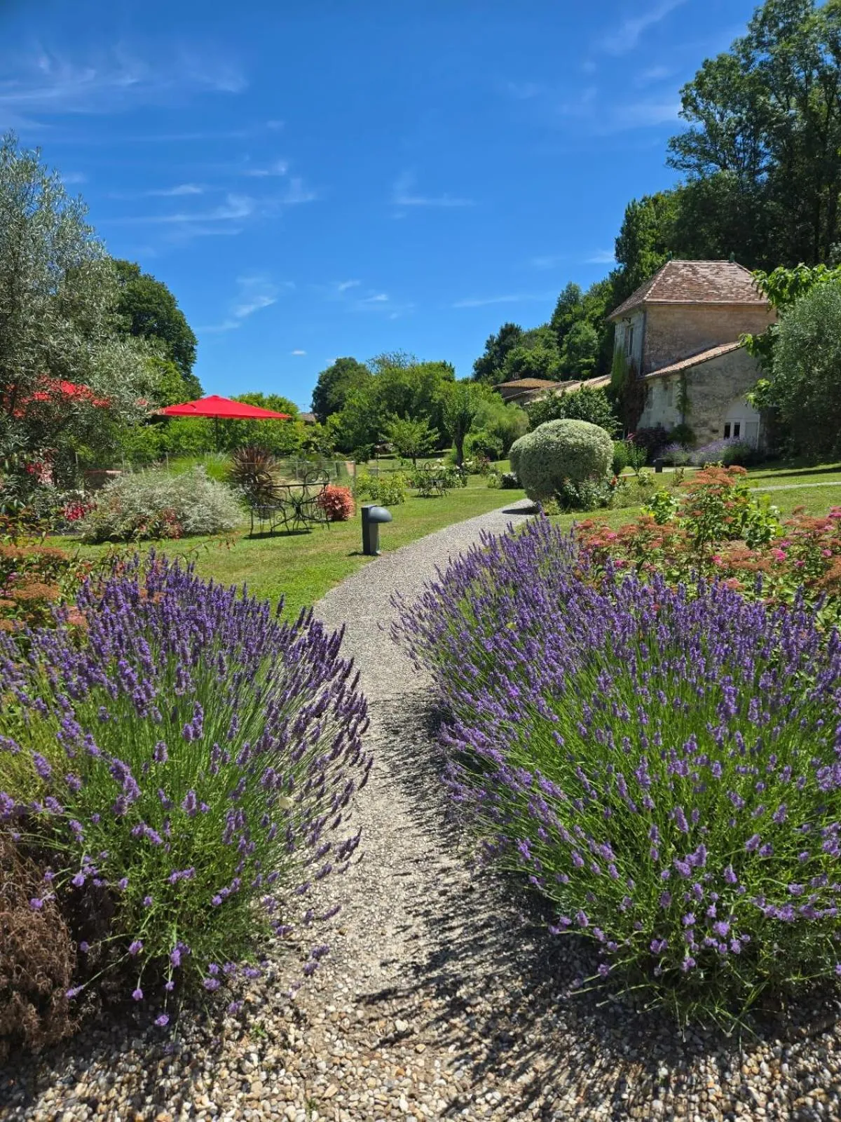 Garden view in Château de Courtebotte