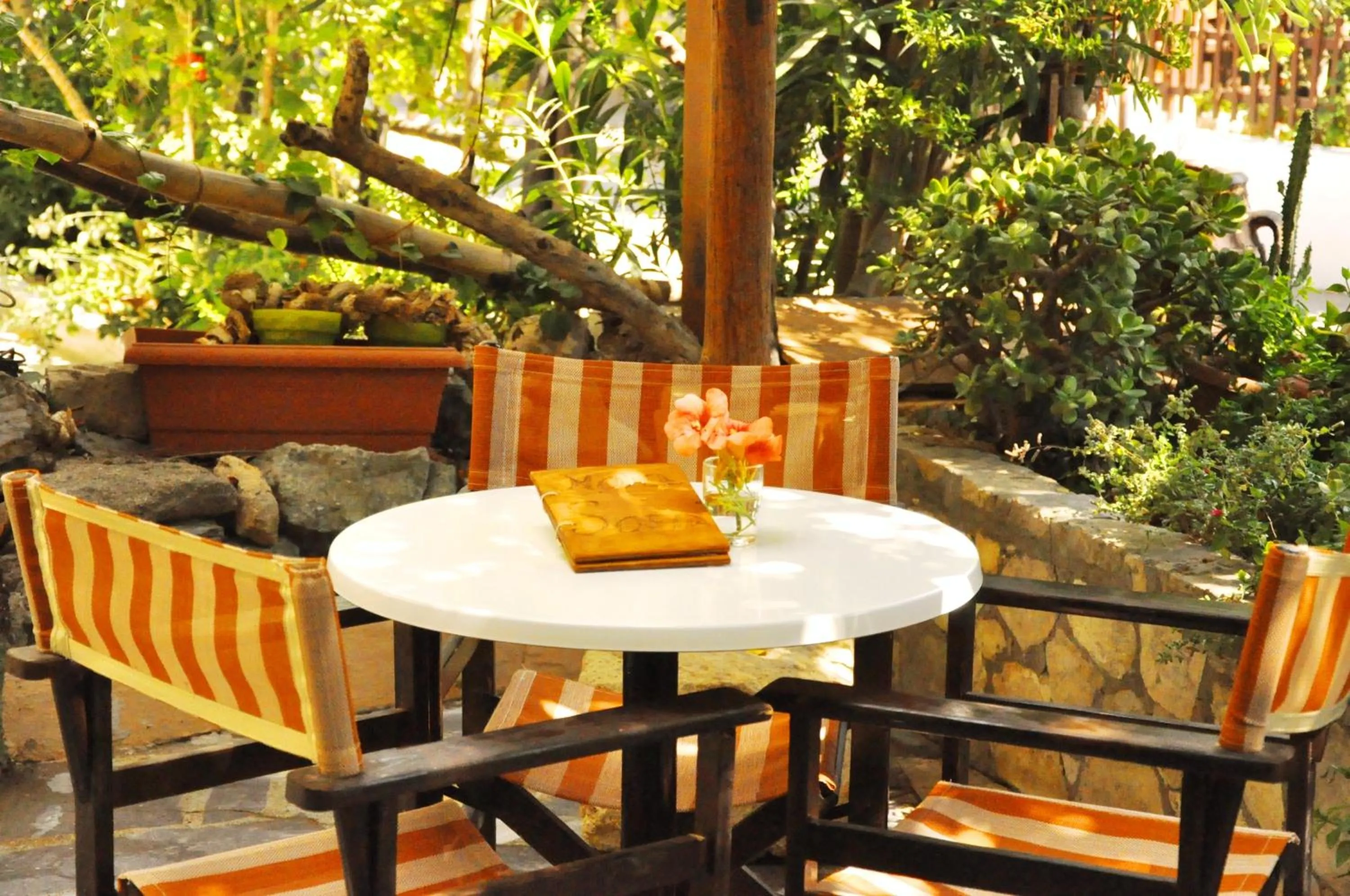 Balcony/Terrace in Hotel Sofia