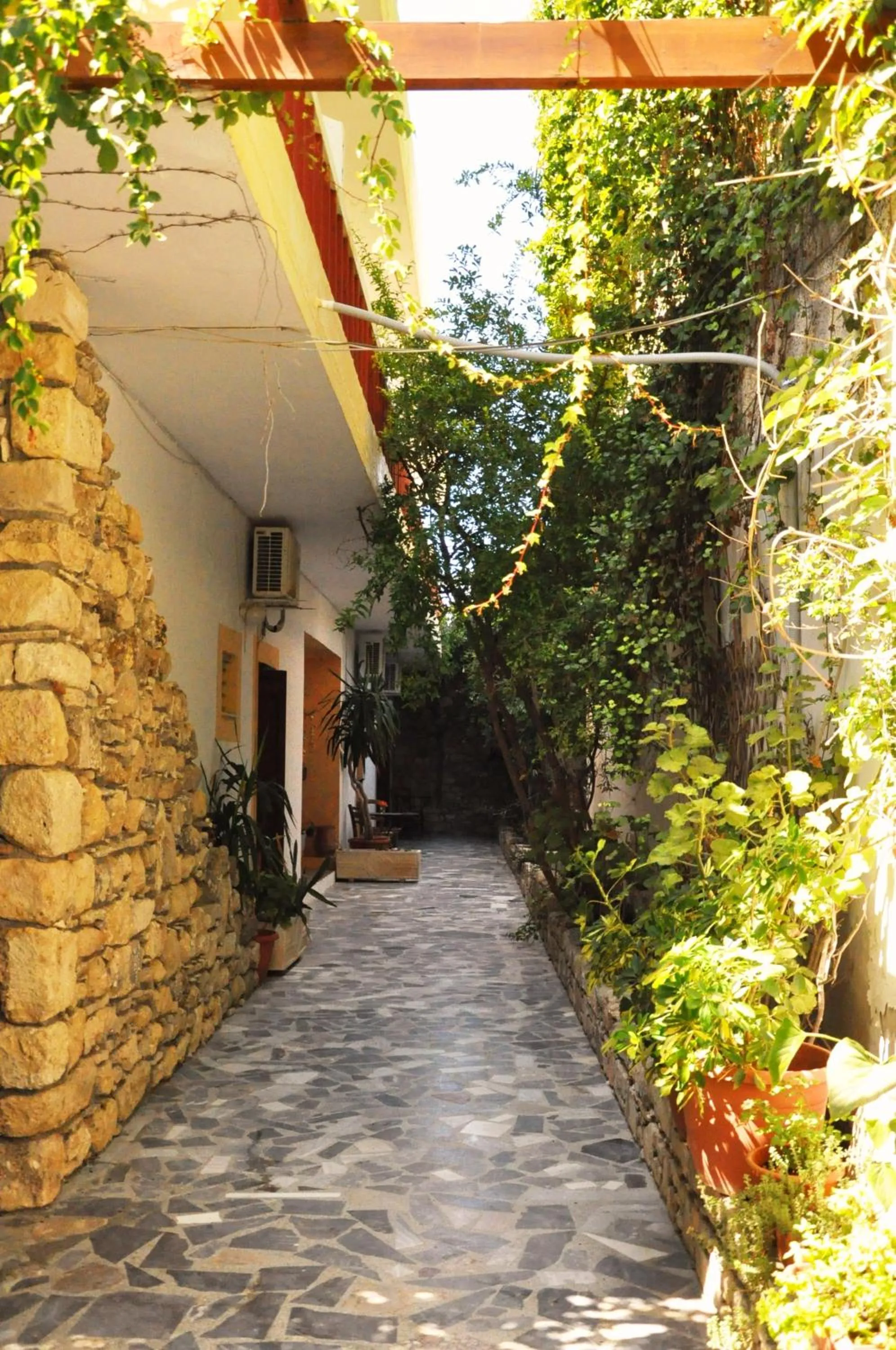 Balcony/Terrace in Hotel Sofia