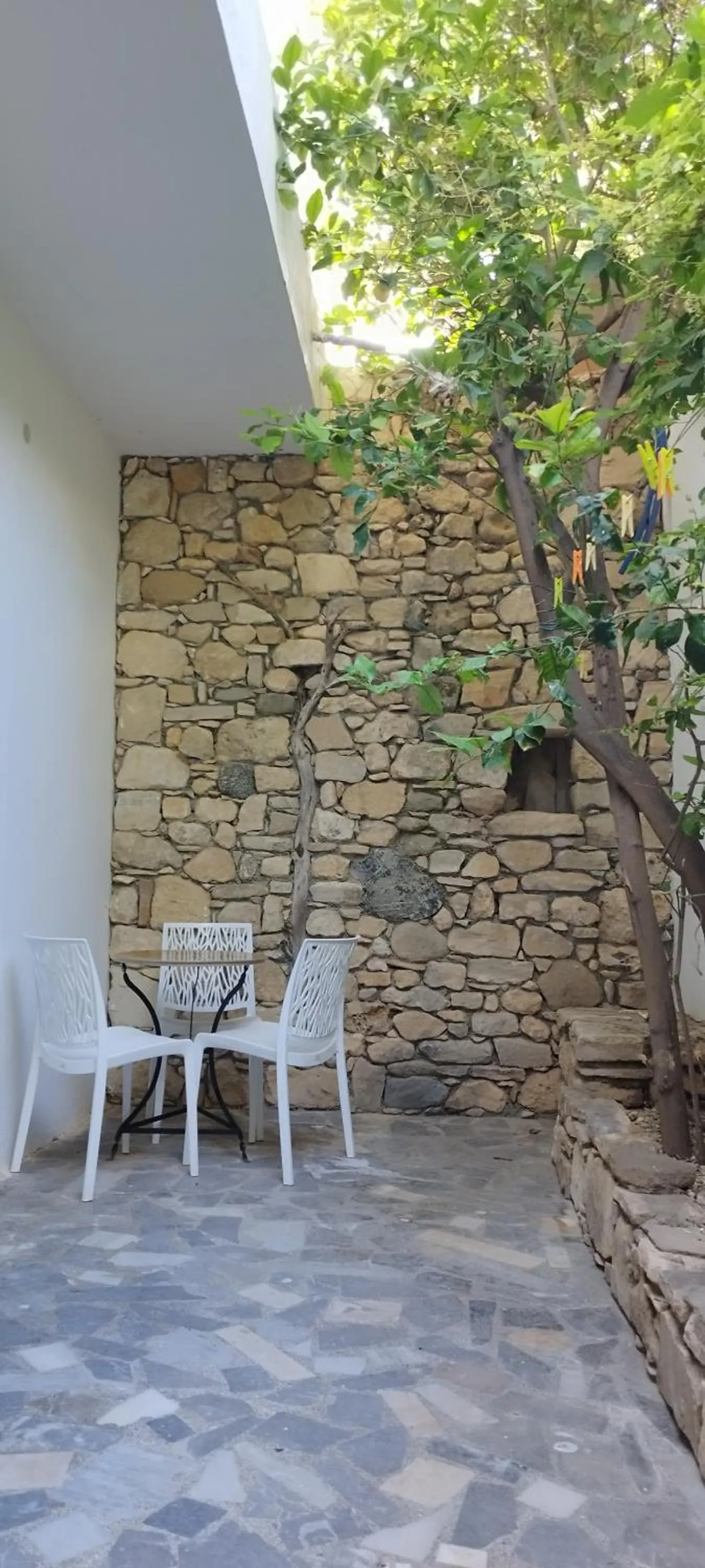 Patio in Hotel Sofia