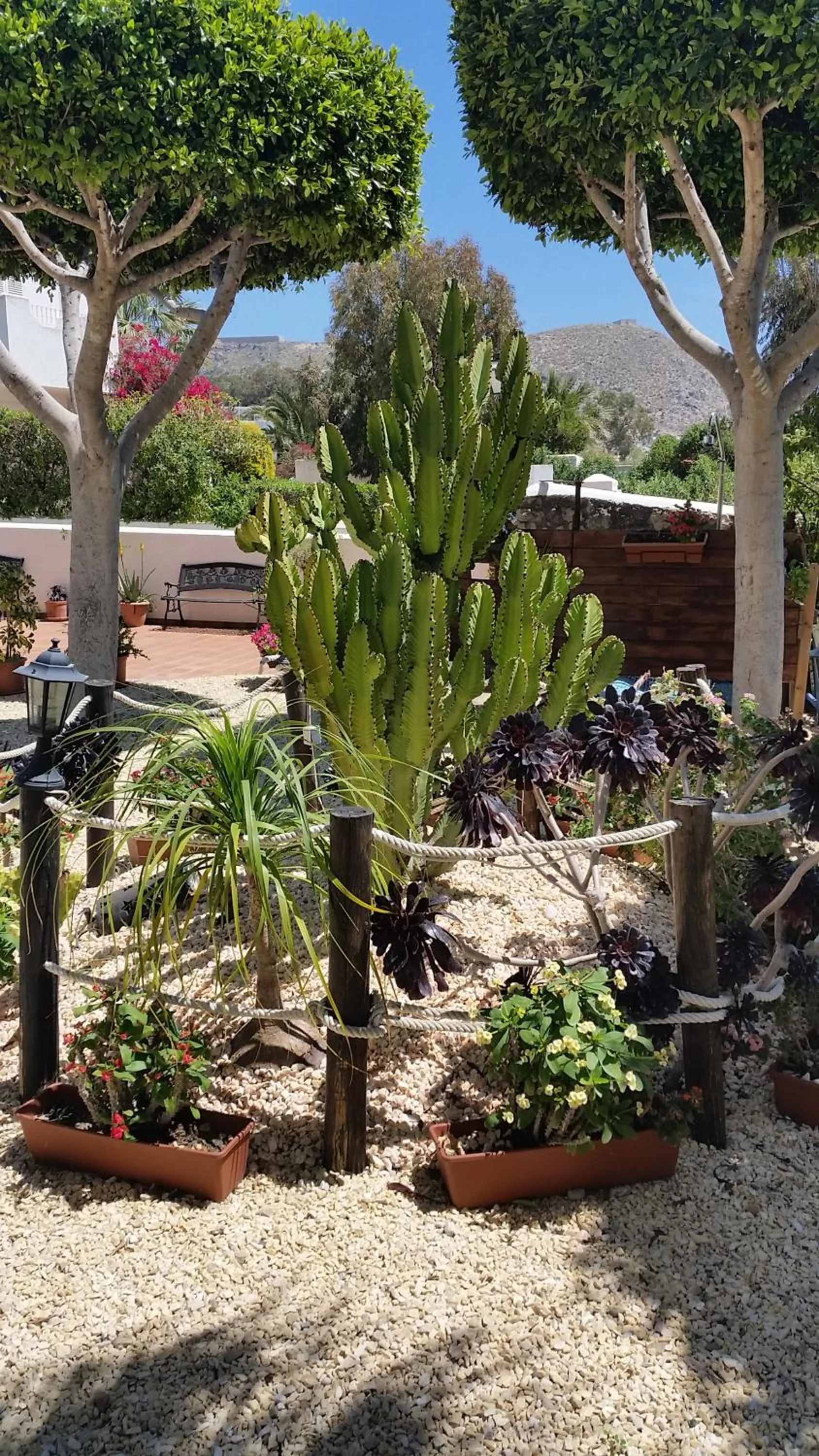 Garden in Hotel las Calas