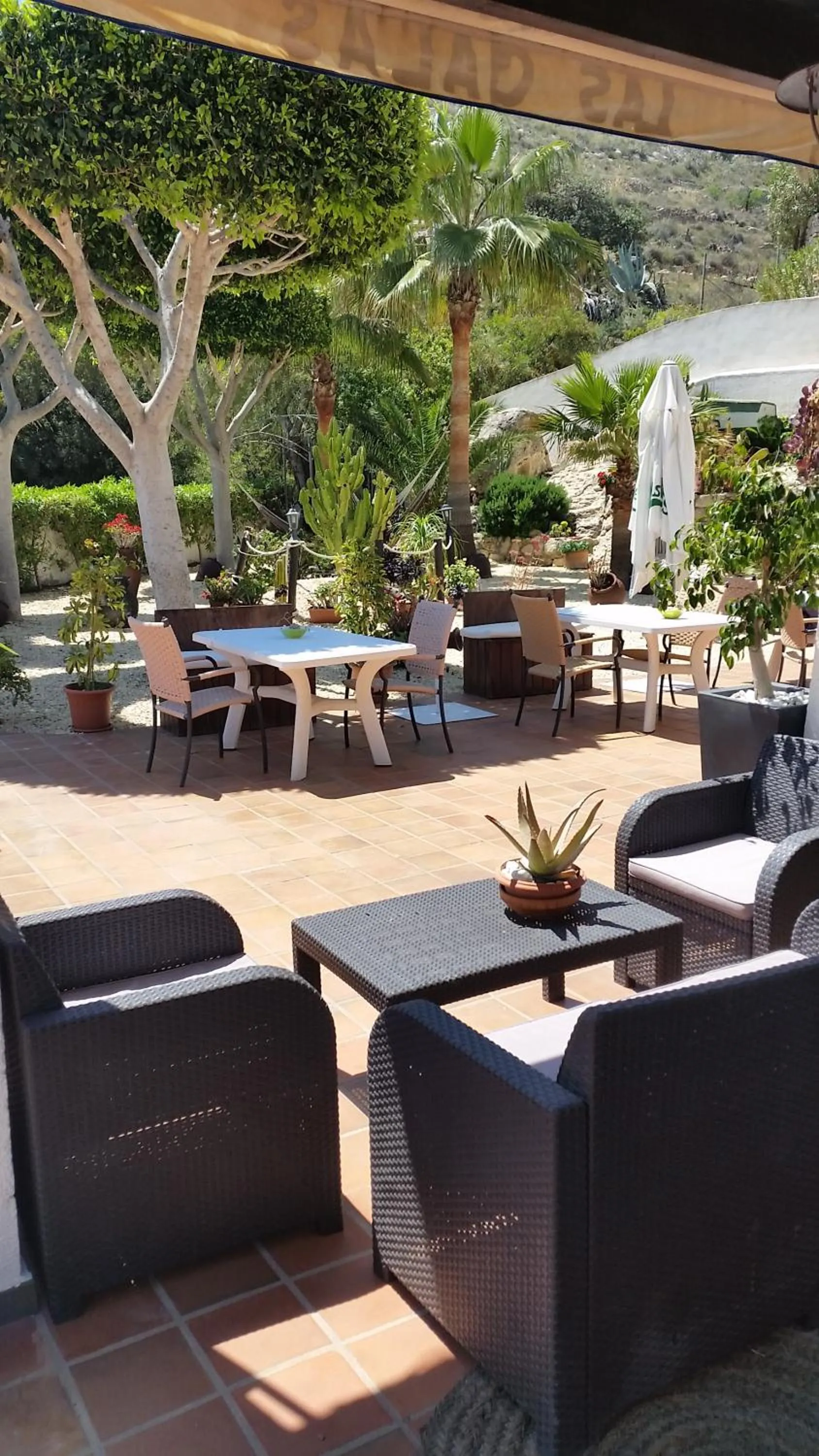 Garden in Hotel las Calas