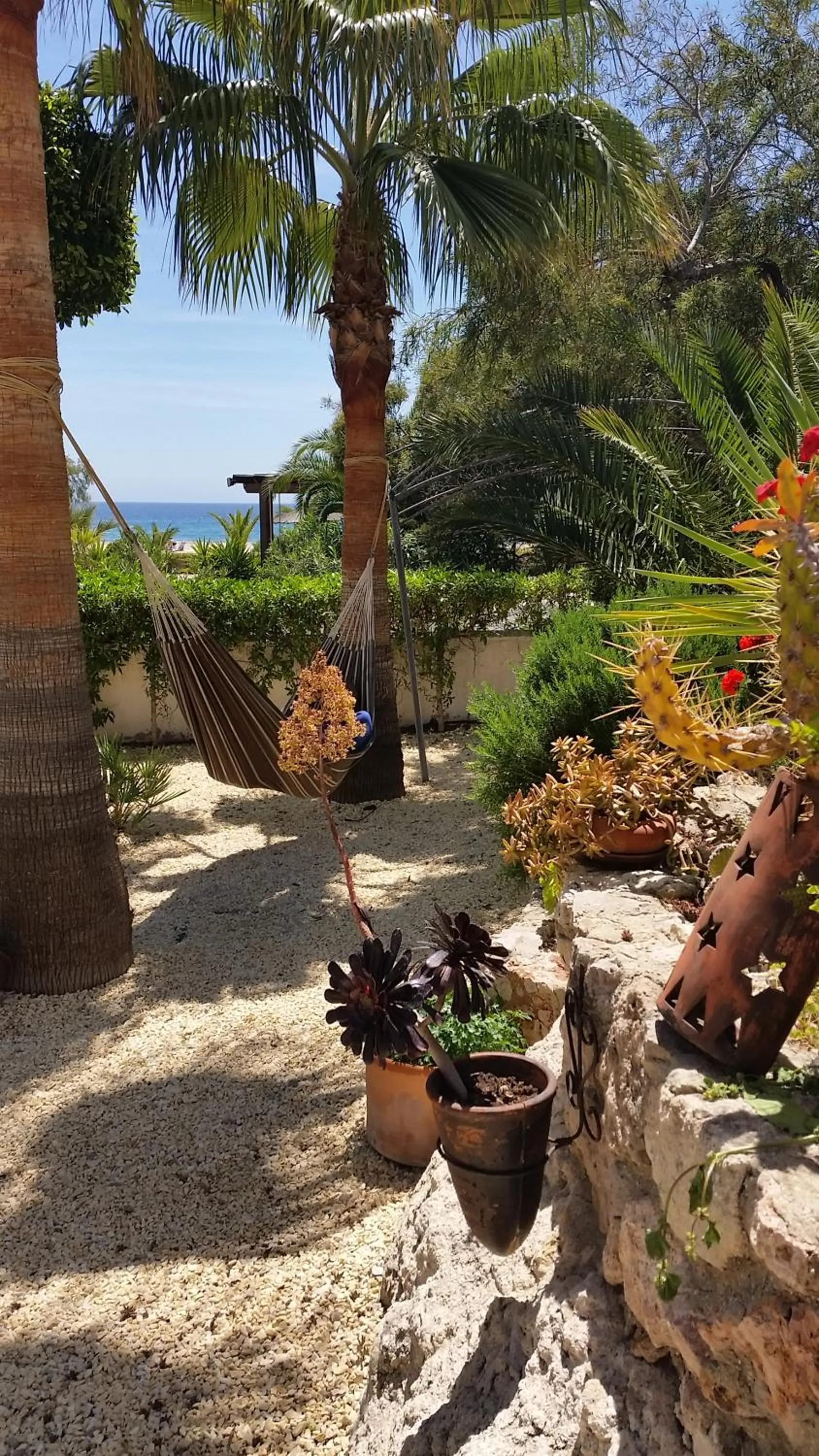 Garden in Hotel las Calas