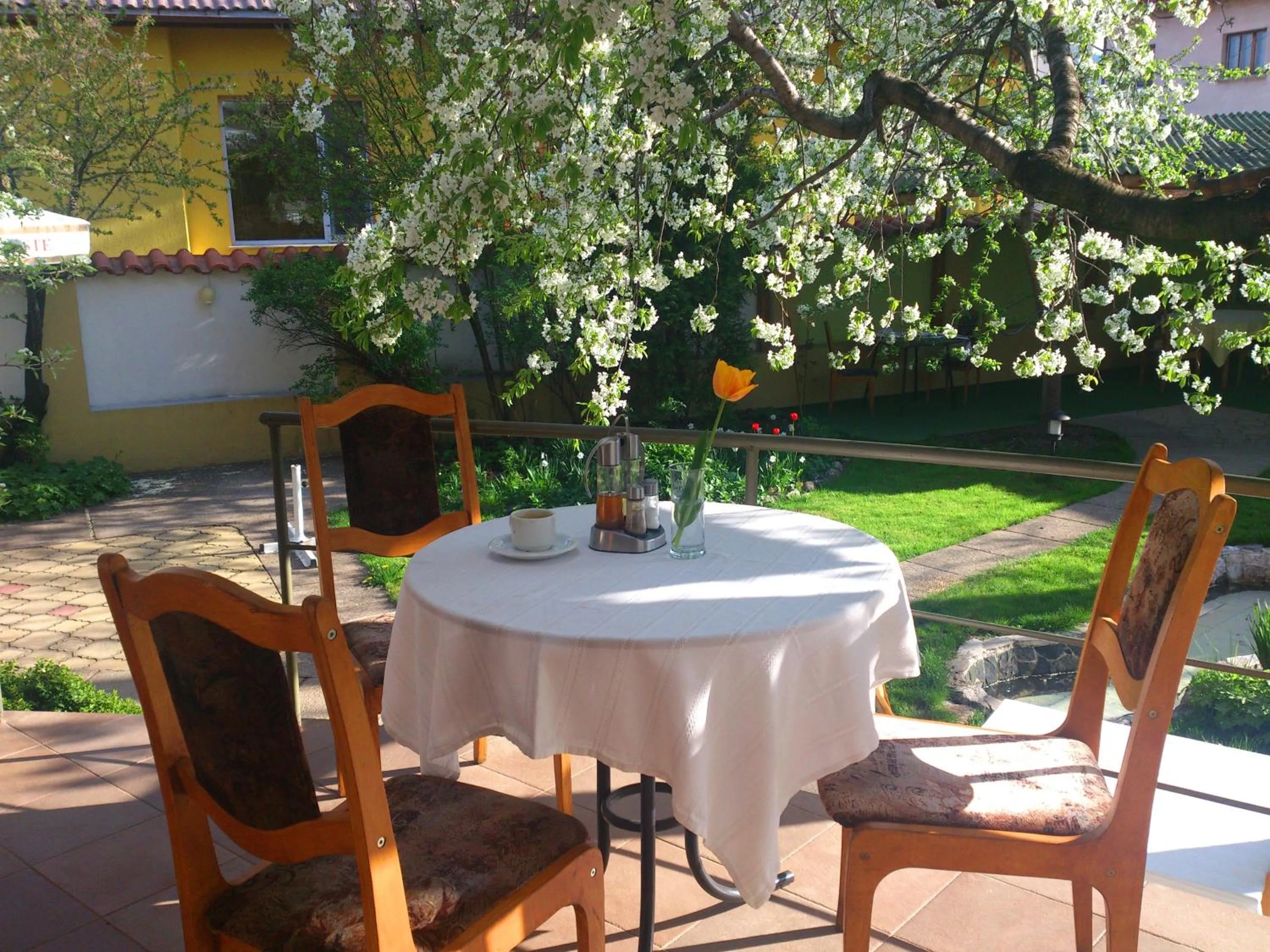 Restaurant/places to eat in Family Hotel Sonata