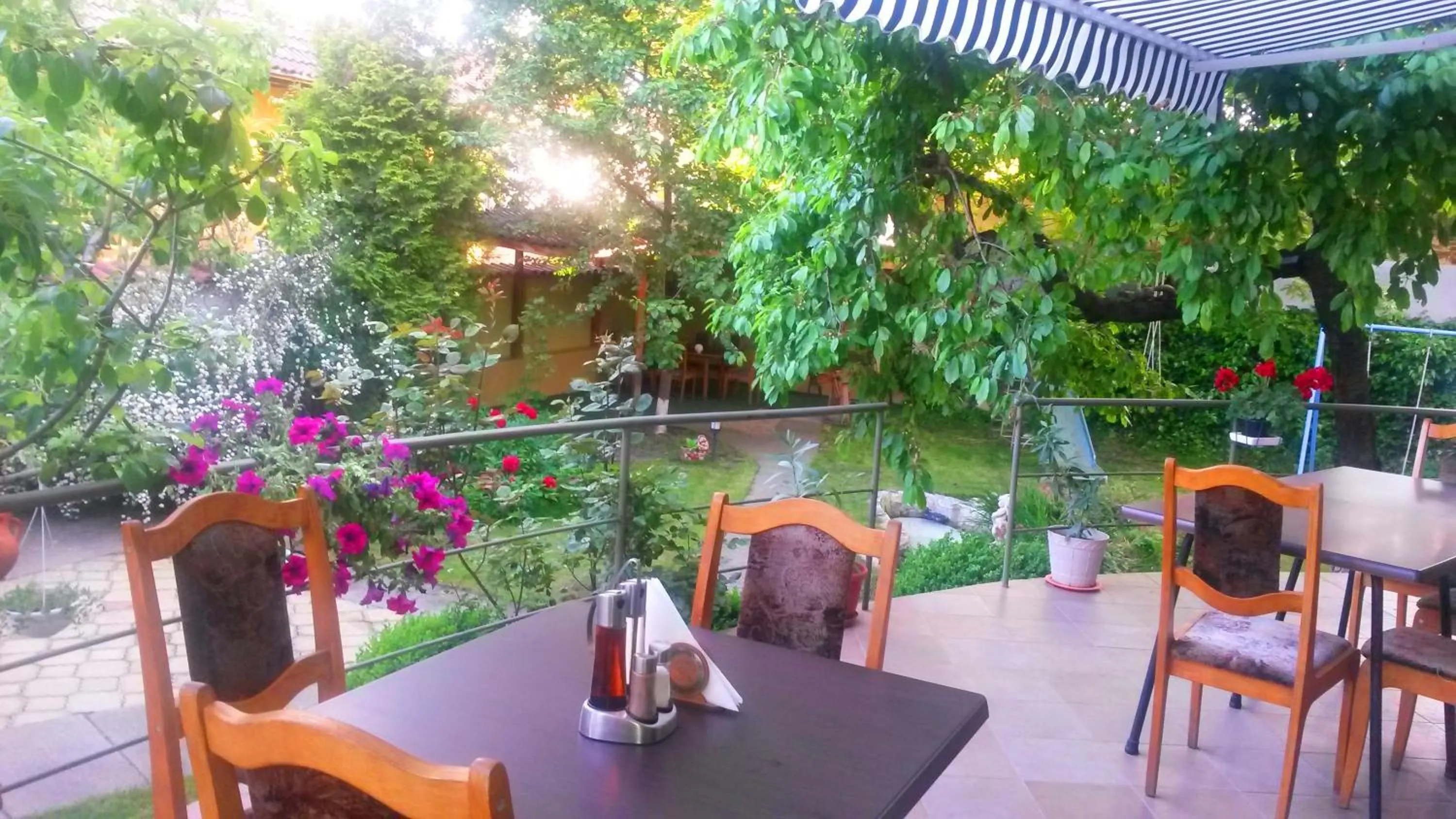 Restaurant/places to eat in Family Hotel Sonata