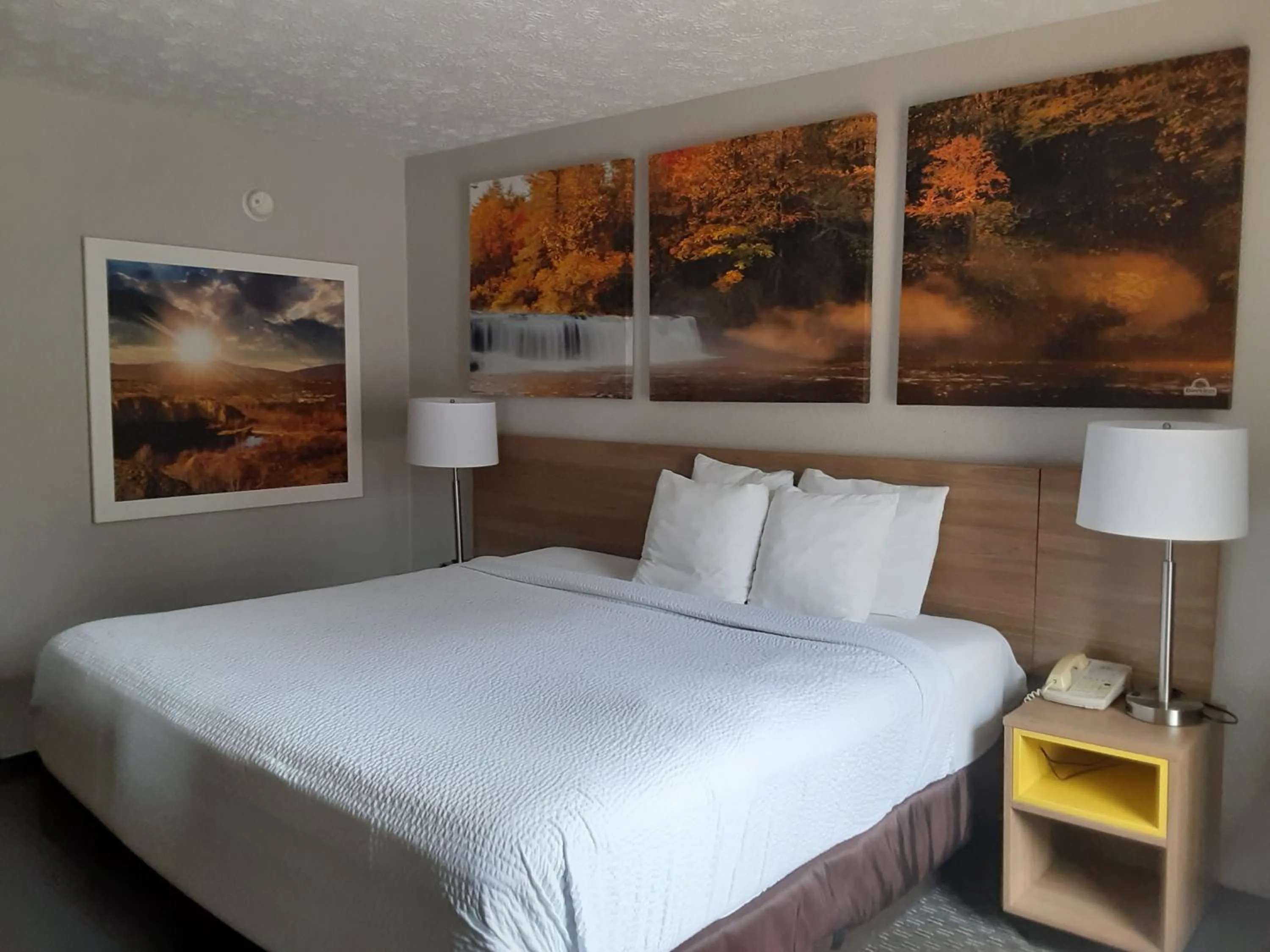 Bedroom, Bed in Days Inn by Wyndham Cookeville