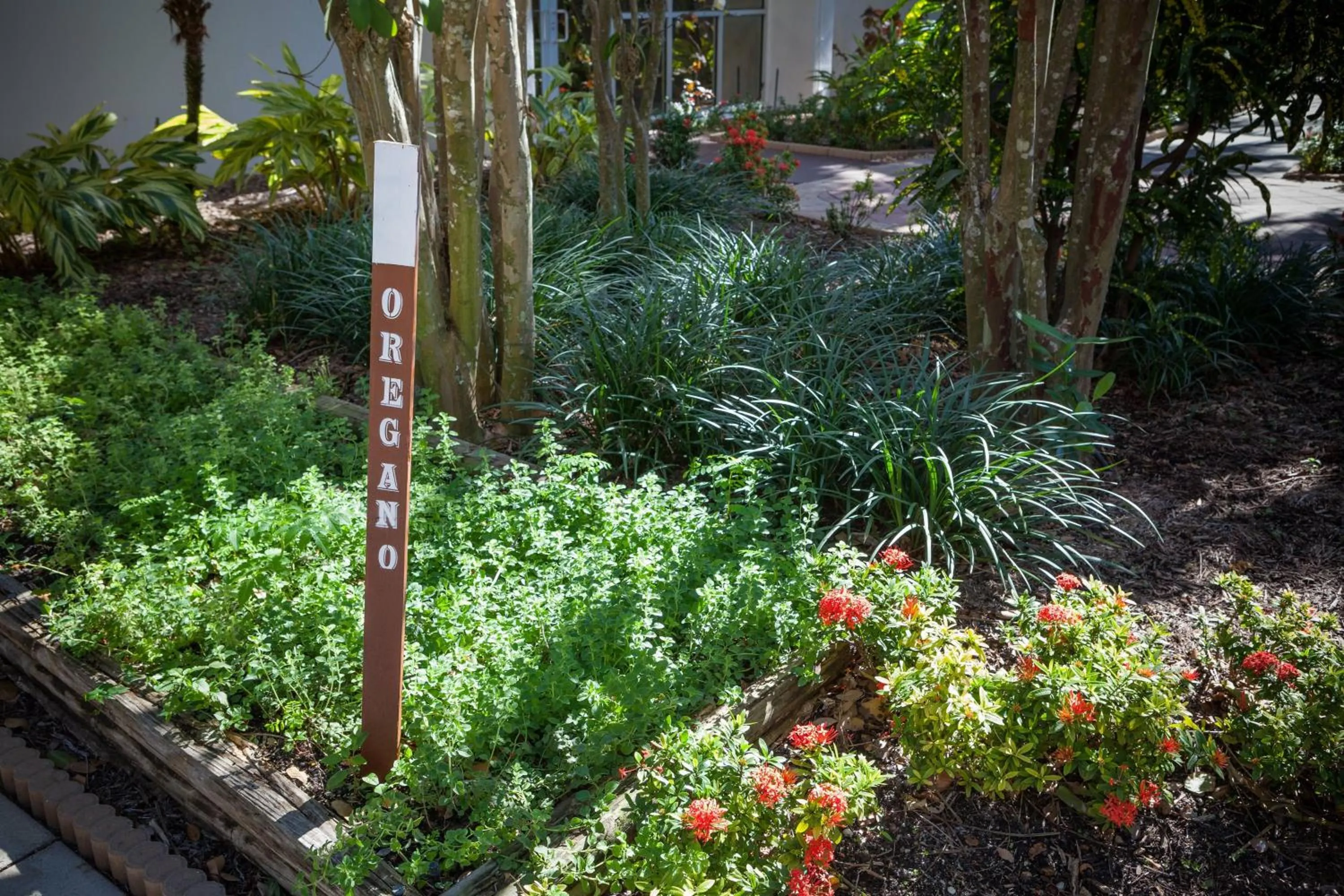 Restaurant/places to eat in West Palm Beach Marriott