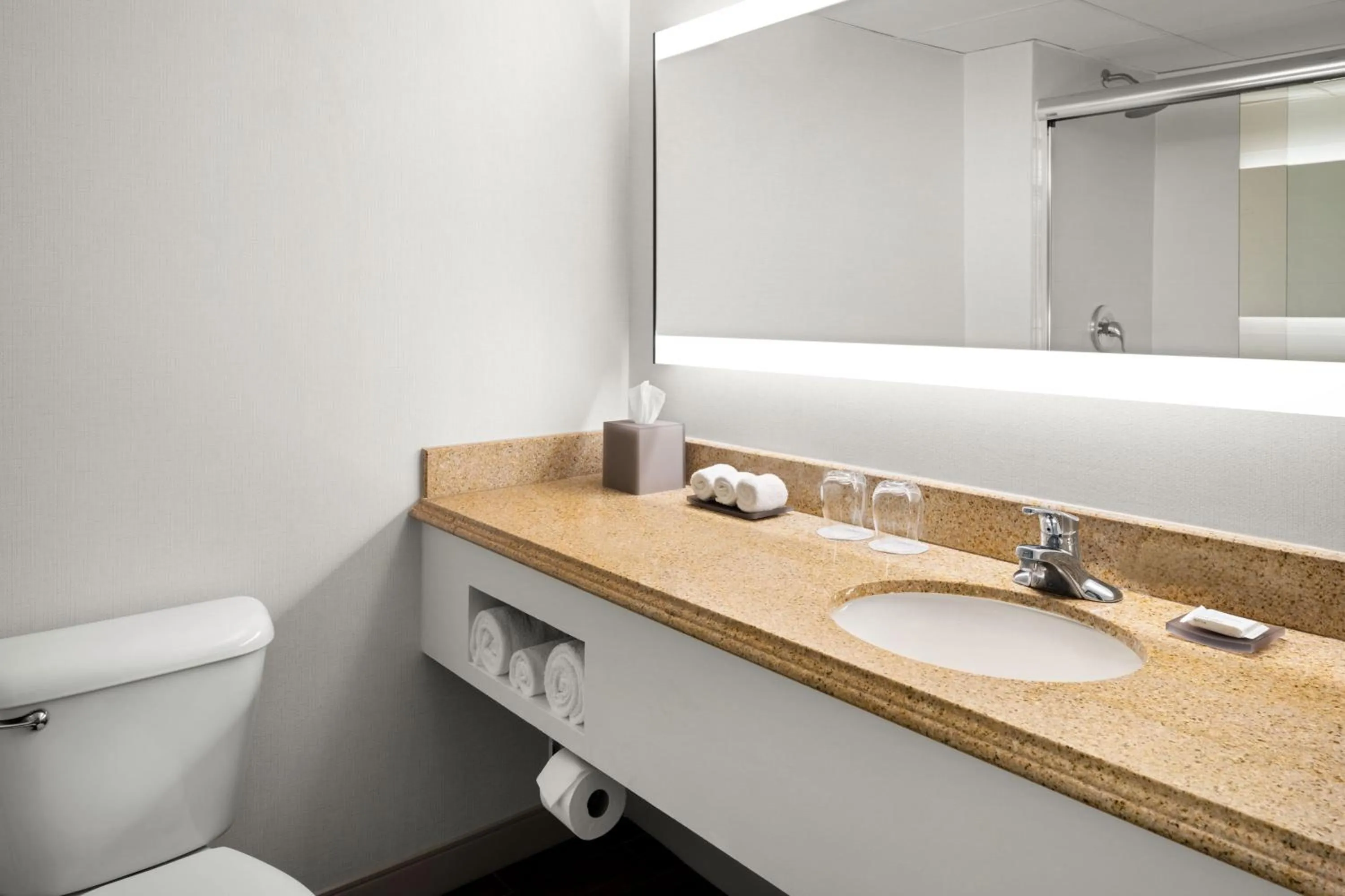 Bathroom in West Palm Beach Marriott