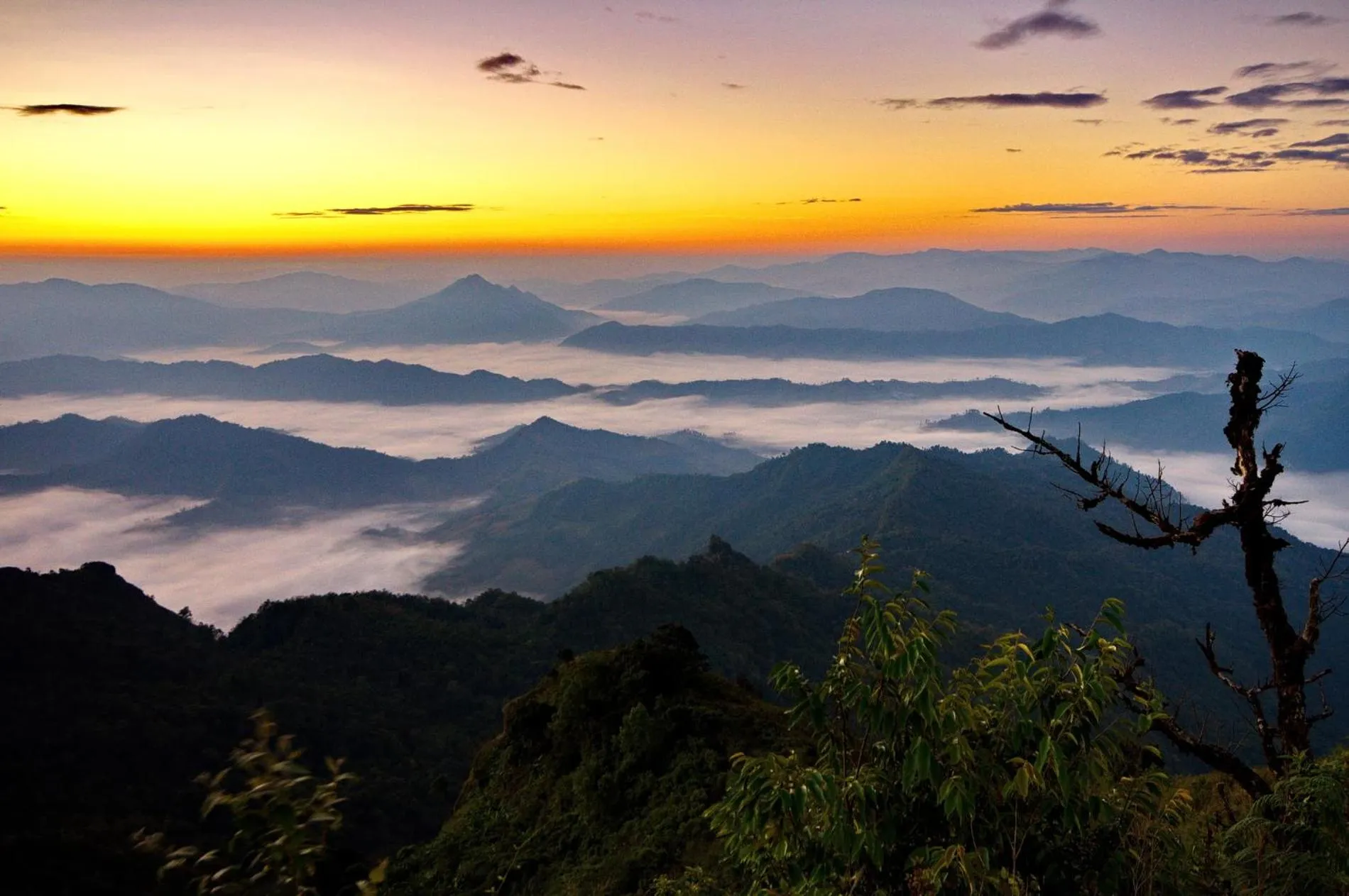 Natural landscape in Luckswan Boutique Chiang Rai - SHA Extra Plus