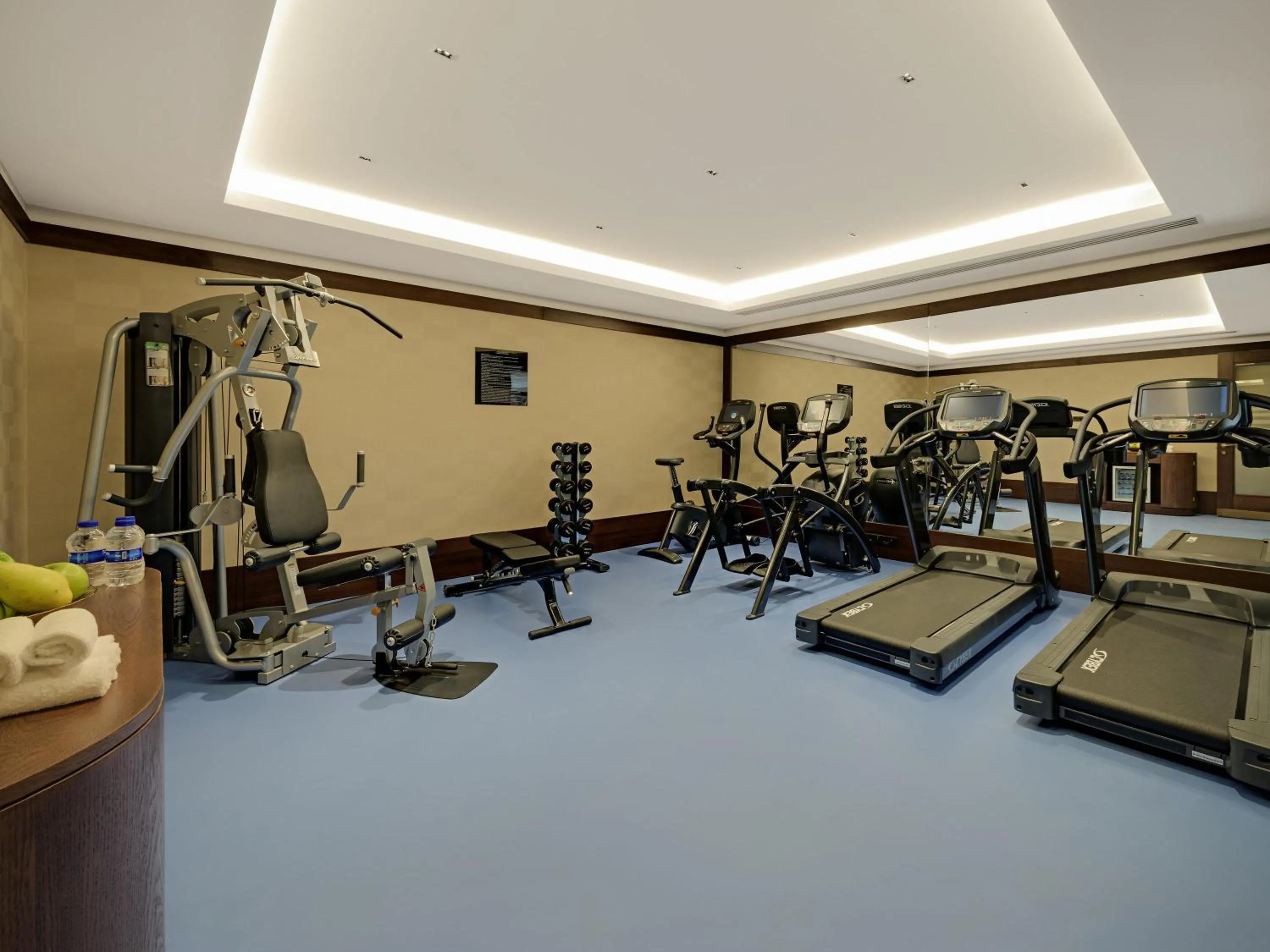 Fitness centre/facilities in The Galata Hotel Istanbul - MGallery Collection