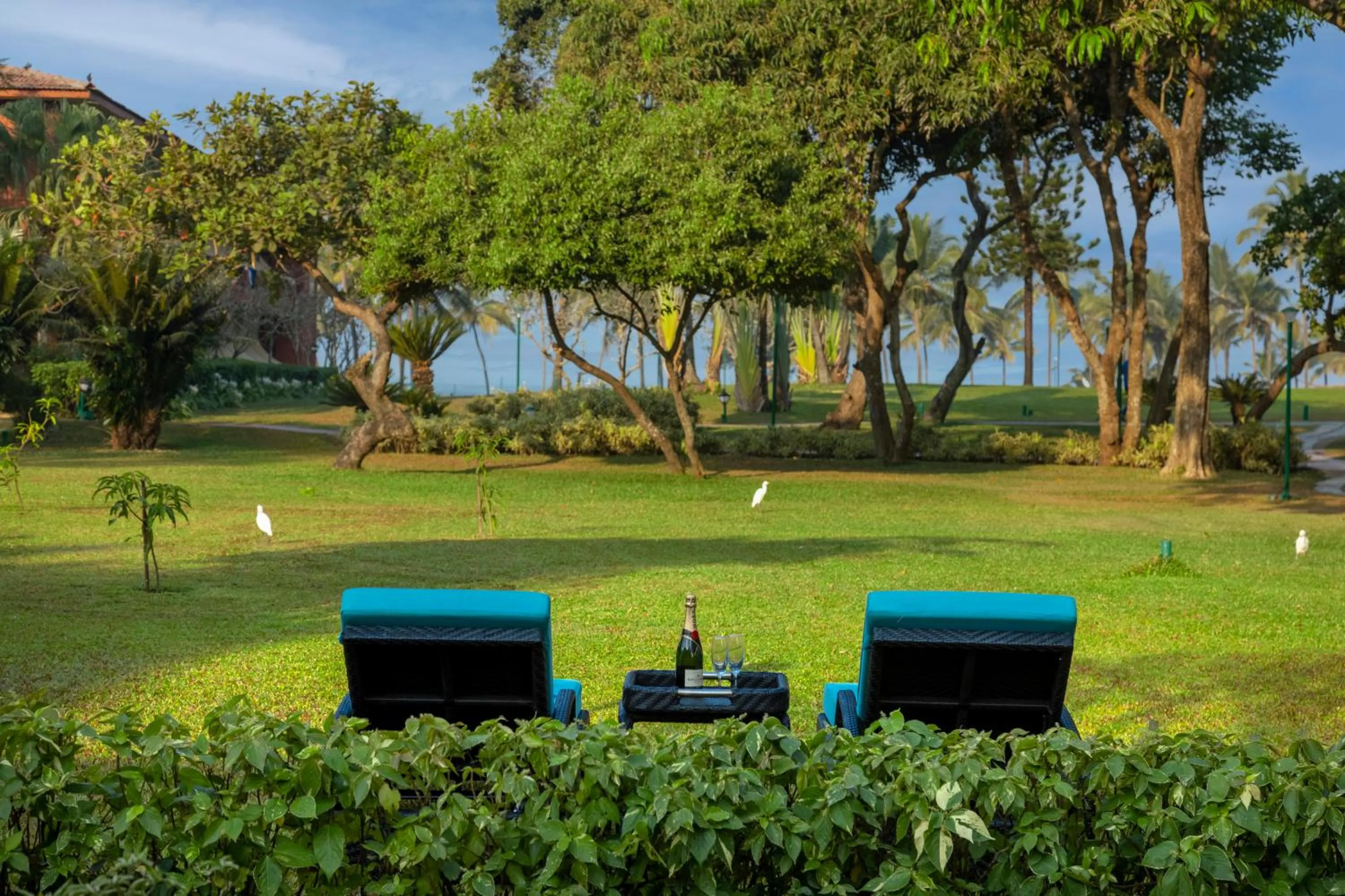 View (from property/room) in Caravela Beach Resort