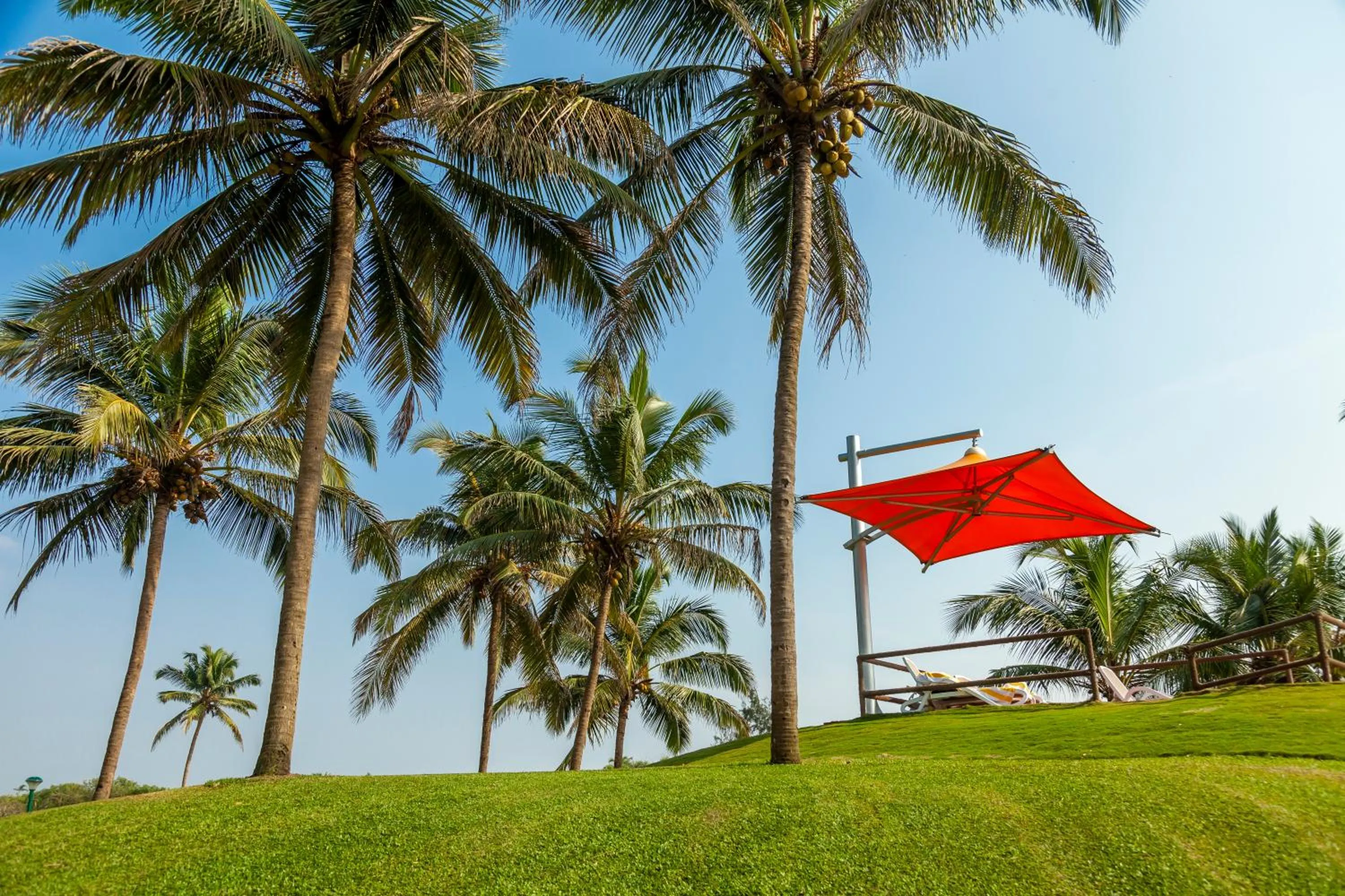 Garden in Caravela Beach Resort