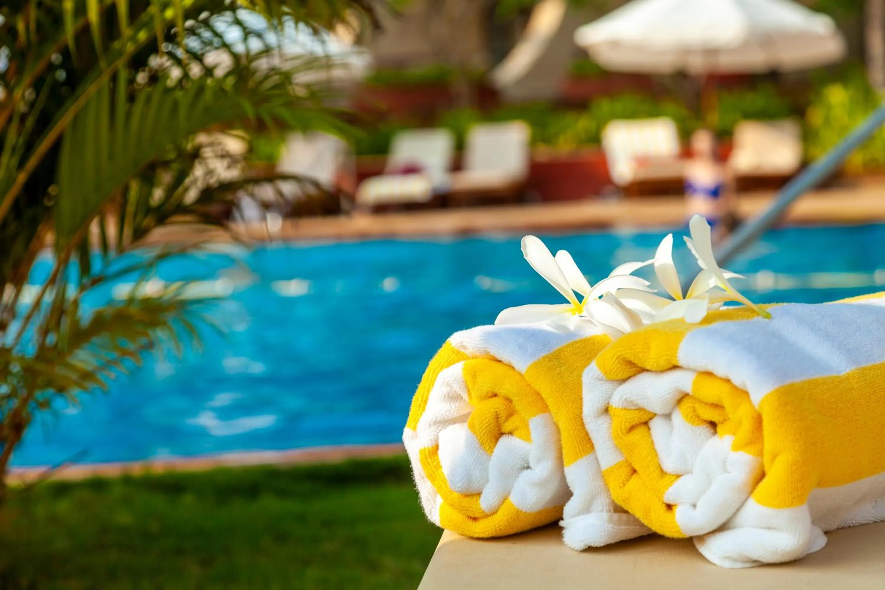 Swimming pool in Caravela Beach Resort