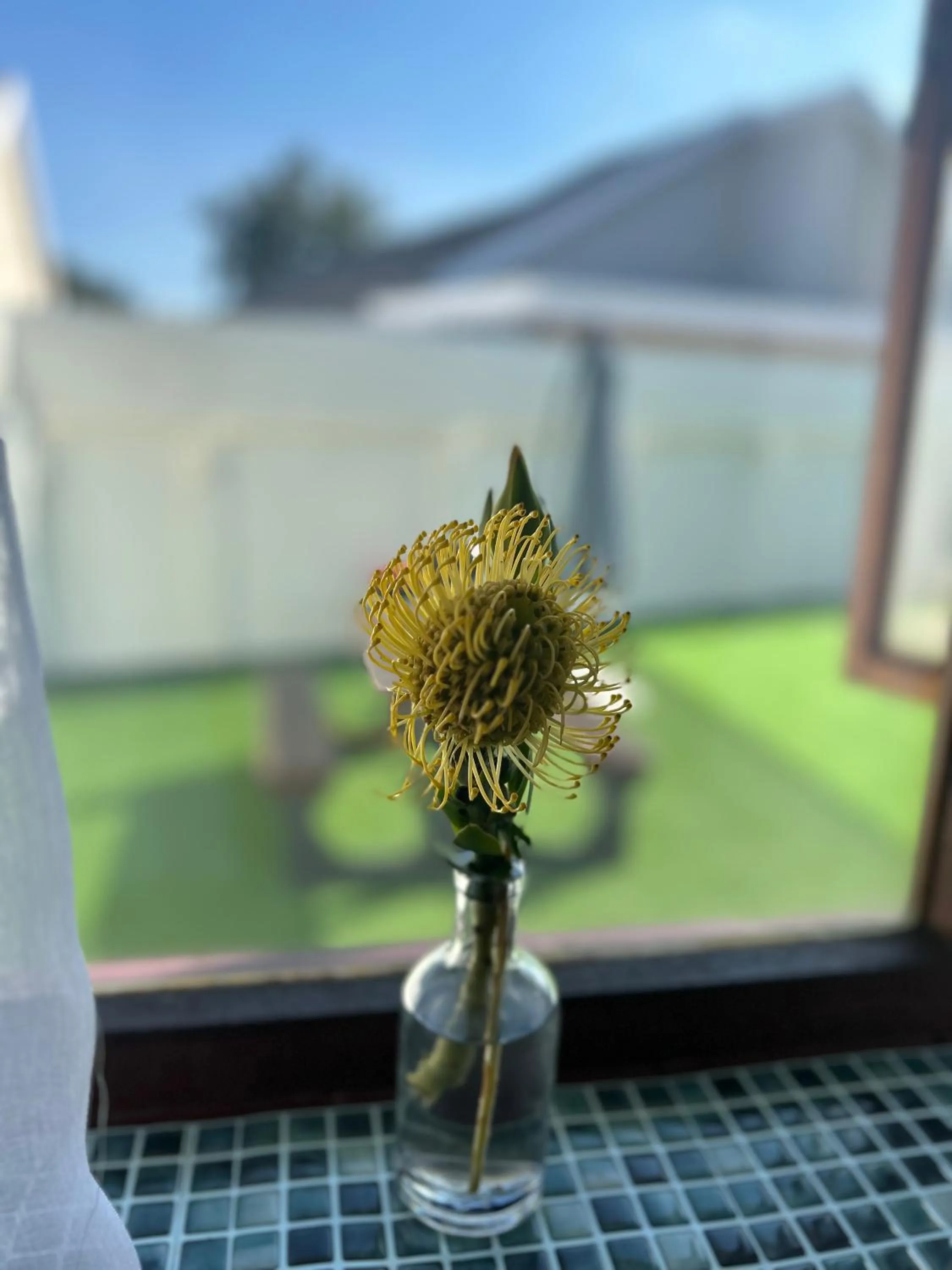 Garden view in Dolliwarie Guesthouse