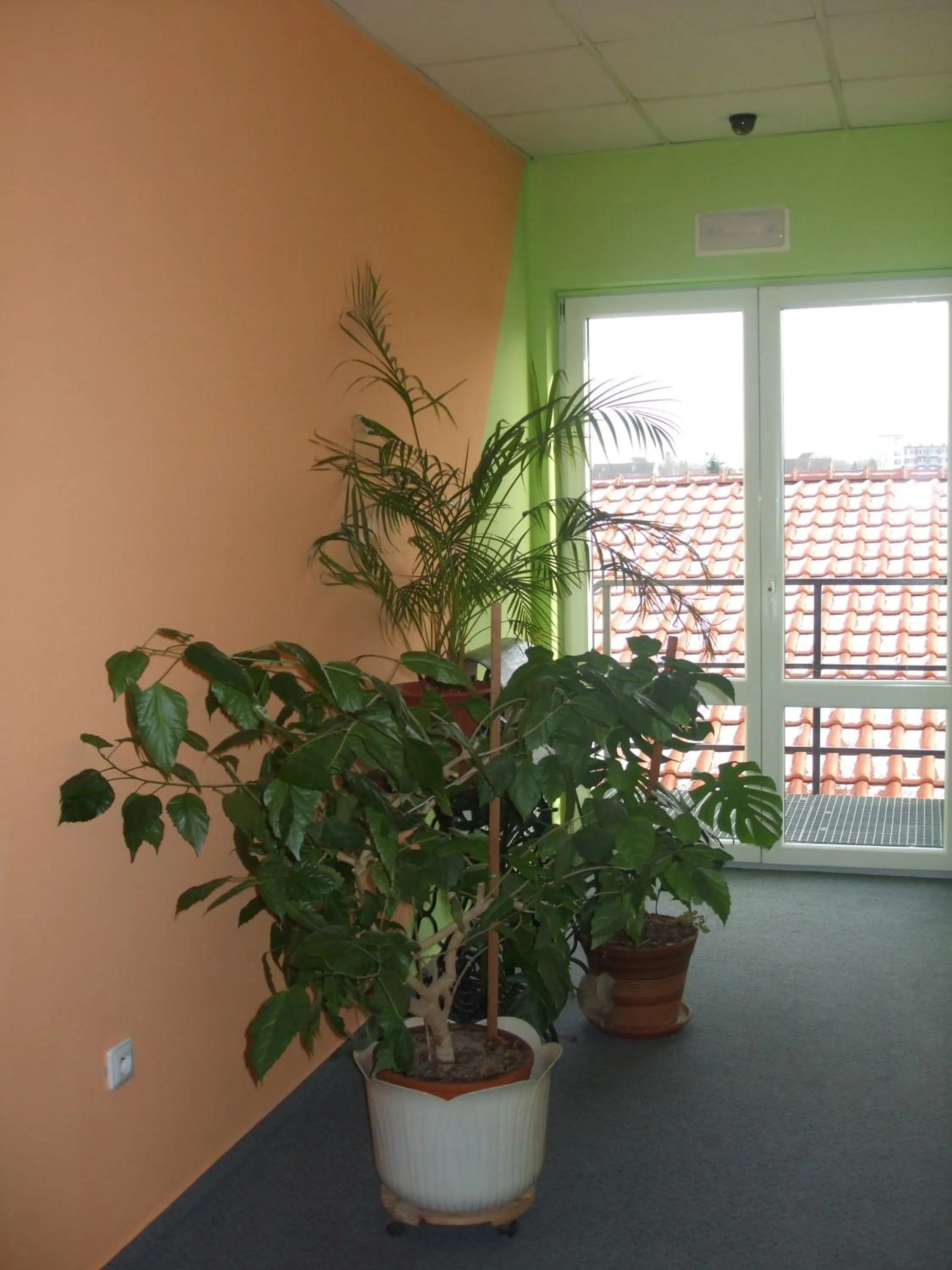 Decorative detail in Hotel Selsky Dvur