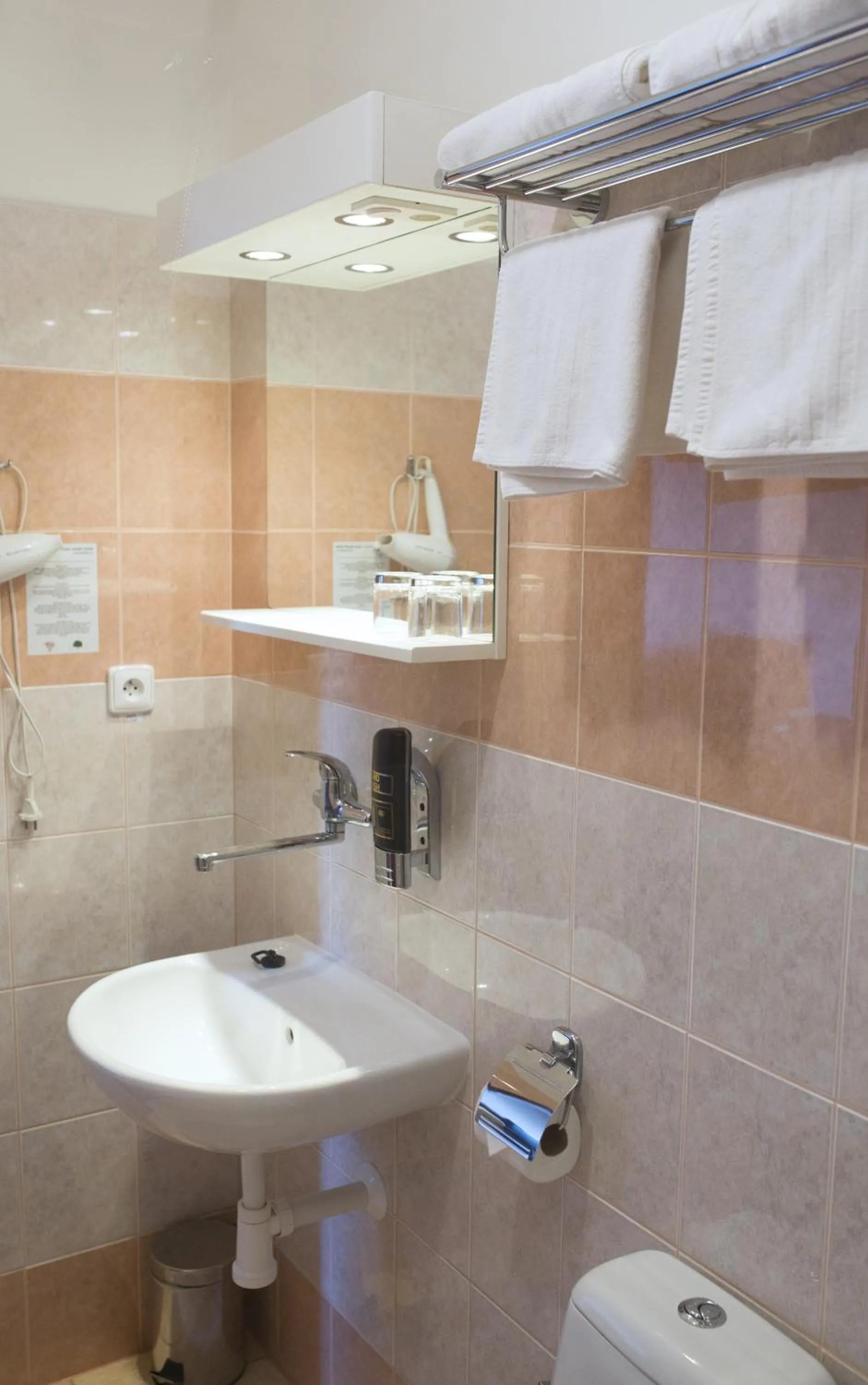 Bathroom in Hotel Selsky Dvur