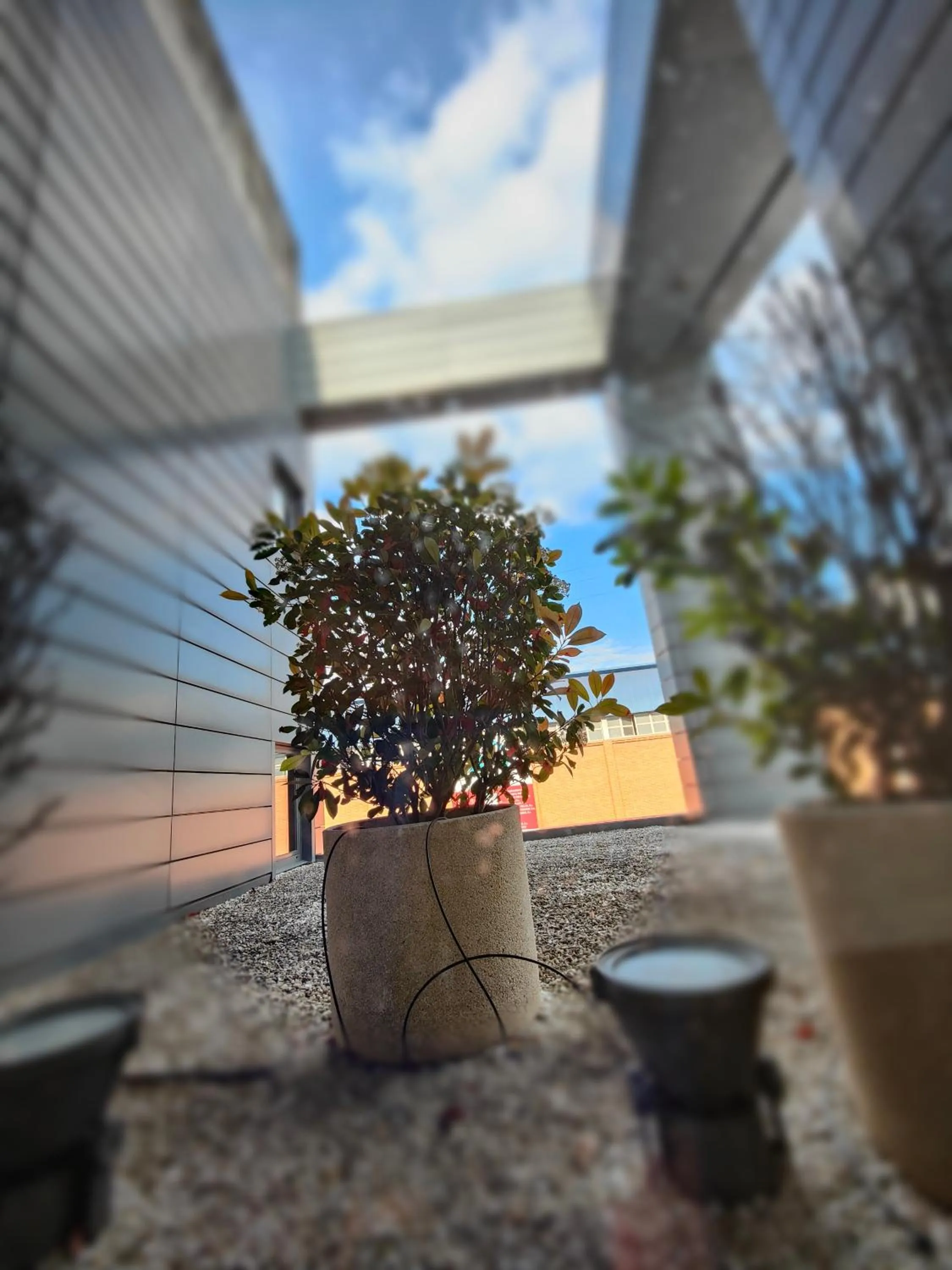 Patio in Hotel Ortuella