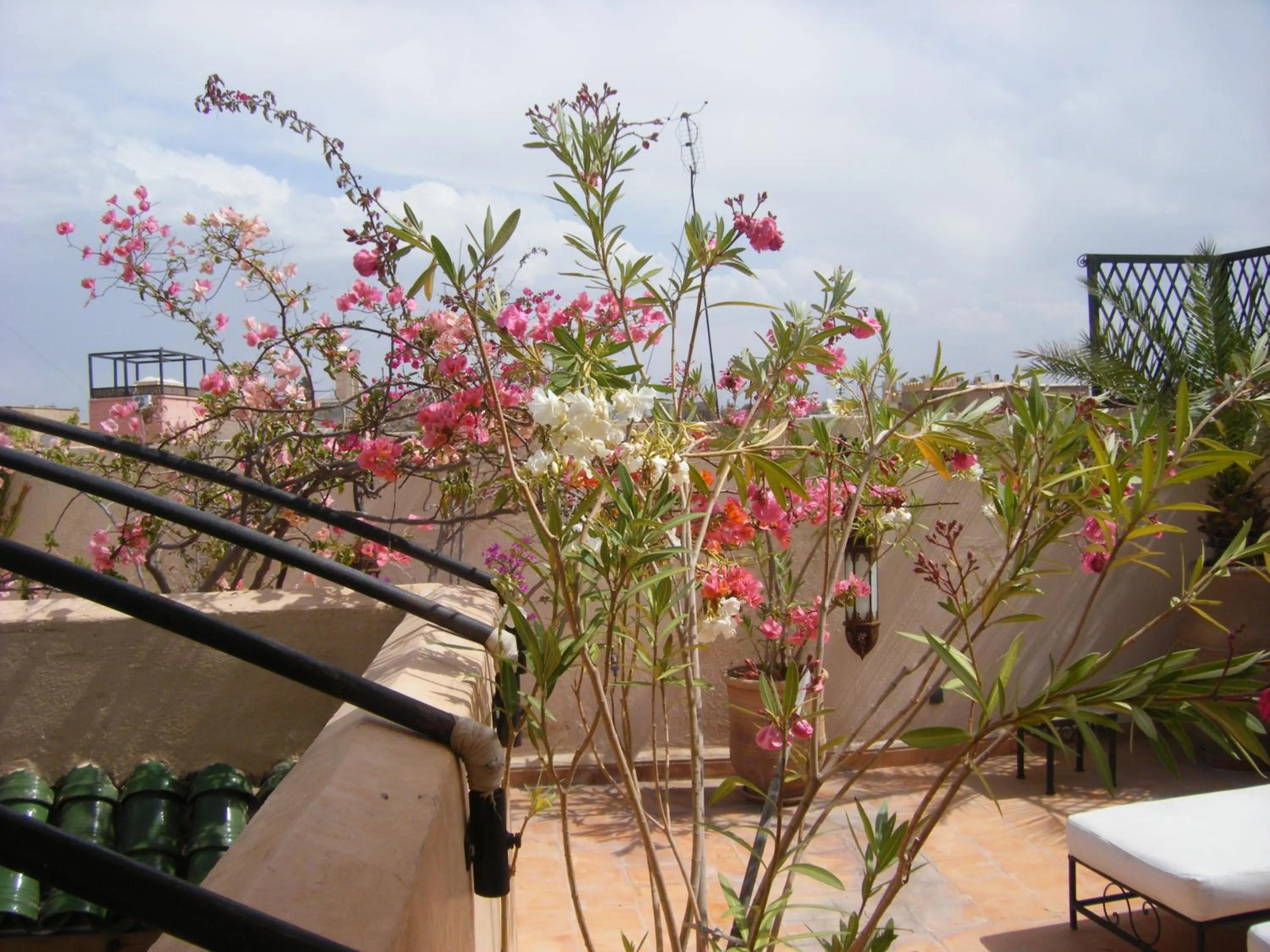 Balcony/Terrace in Riad Irene