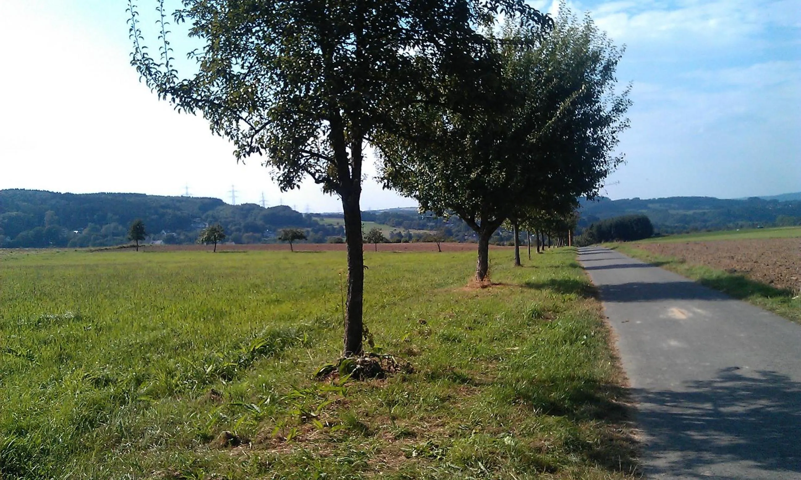 Natural landscape in Landhaus im kühlen Grunde Garni