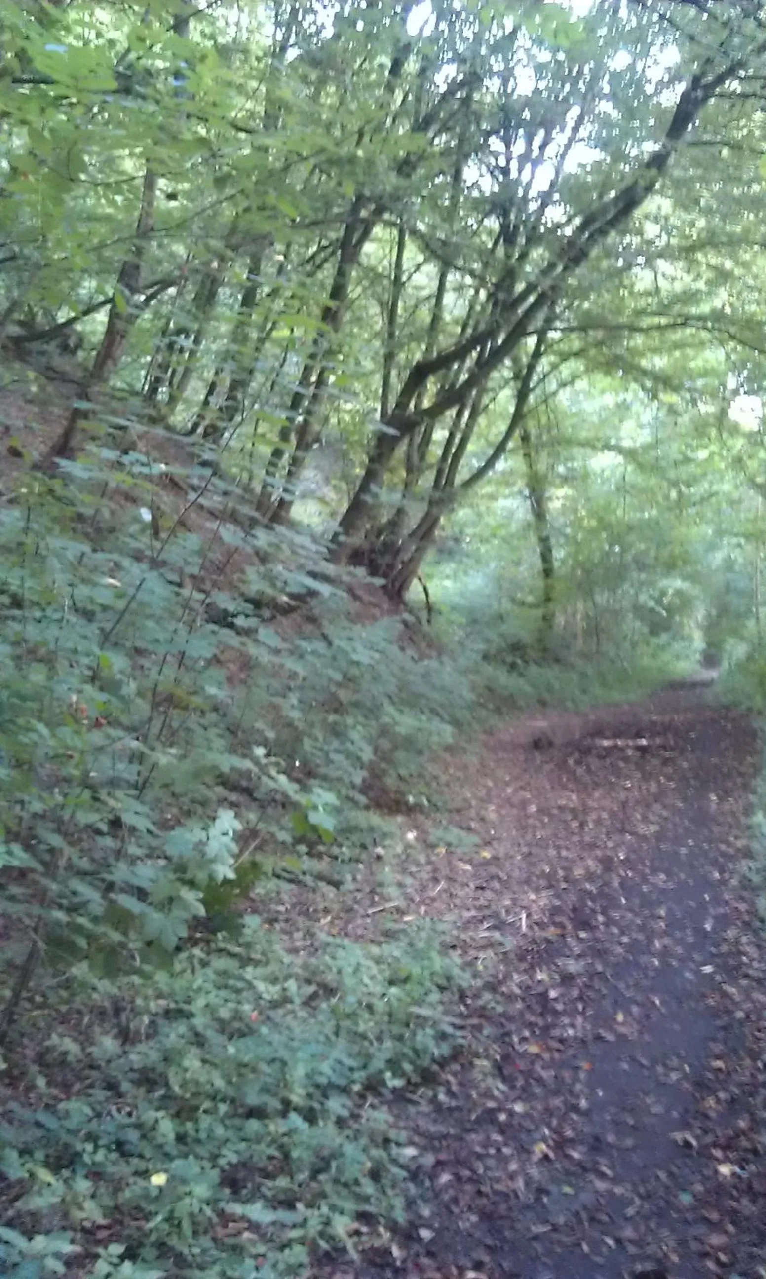 Natural landscape in Landhaus im kühlen Grunde Garni