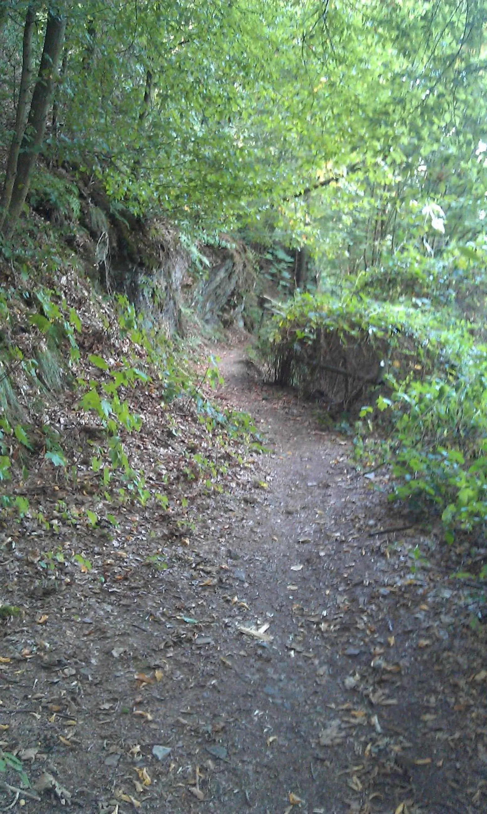 Natural landscape in Landhaus im kühlen Grunde Garni