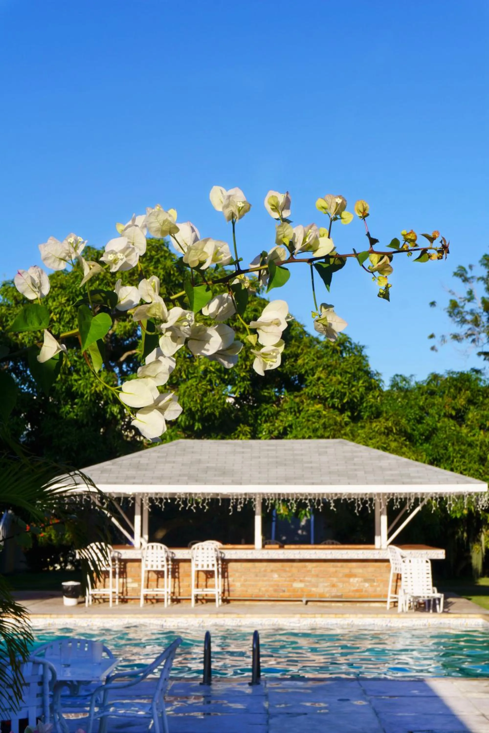 One Love Cozy Studio Seawind On The Bay