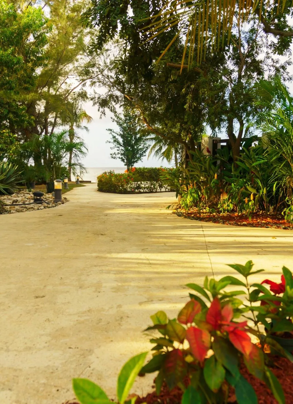 One Love Cozy Studio Seawind On The Bay