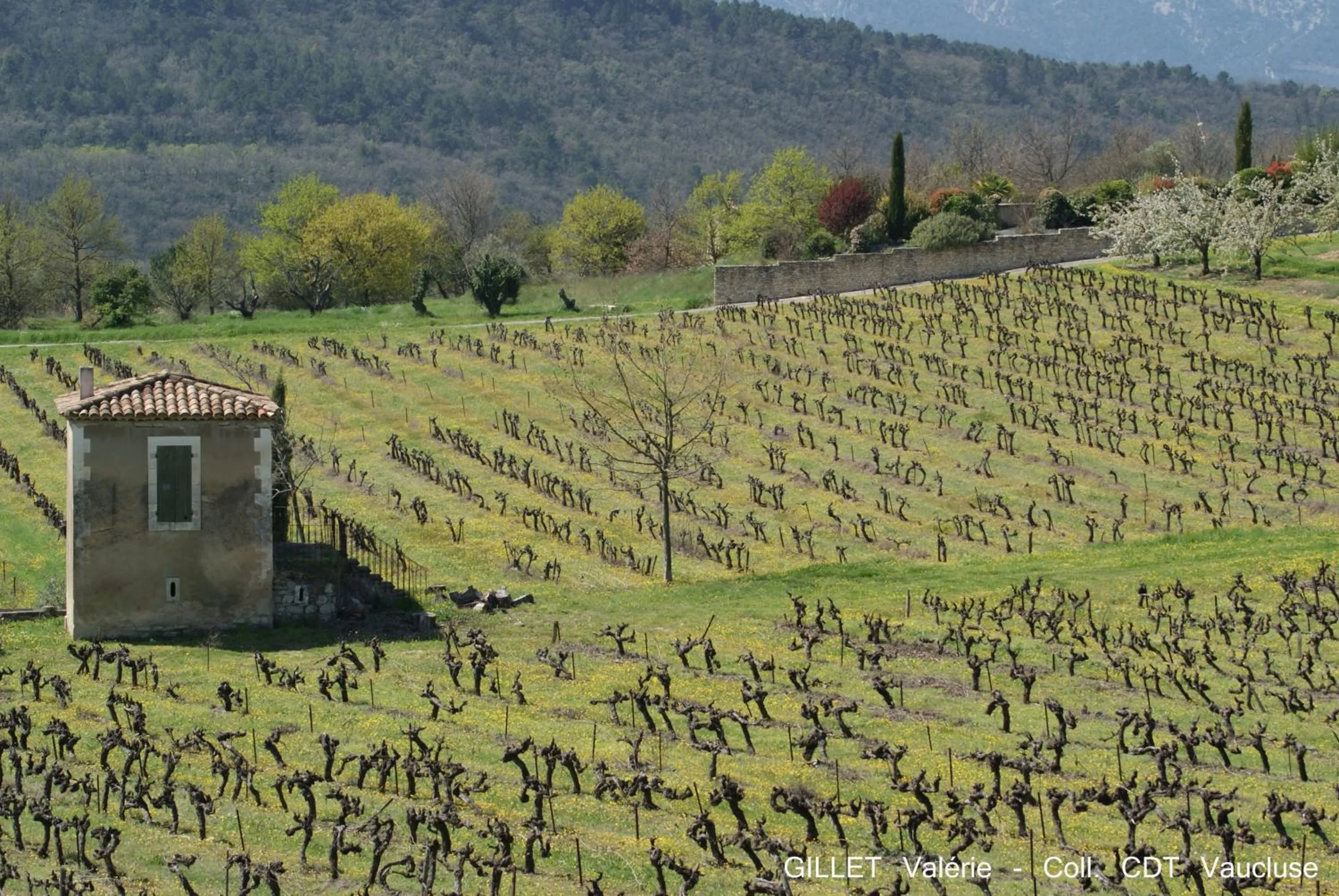 Nearby landmark in Les Terrasses - Gordes