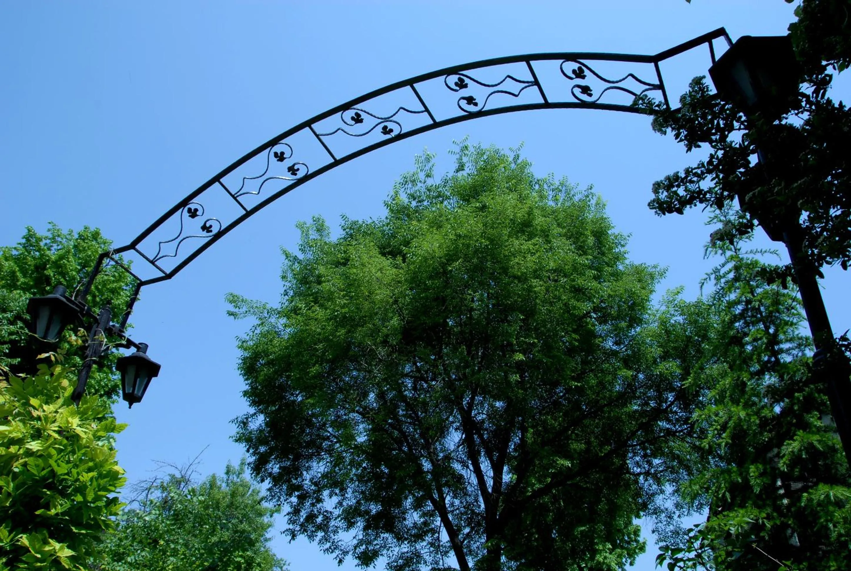 Garden in Mehves Hanim Konagi