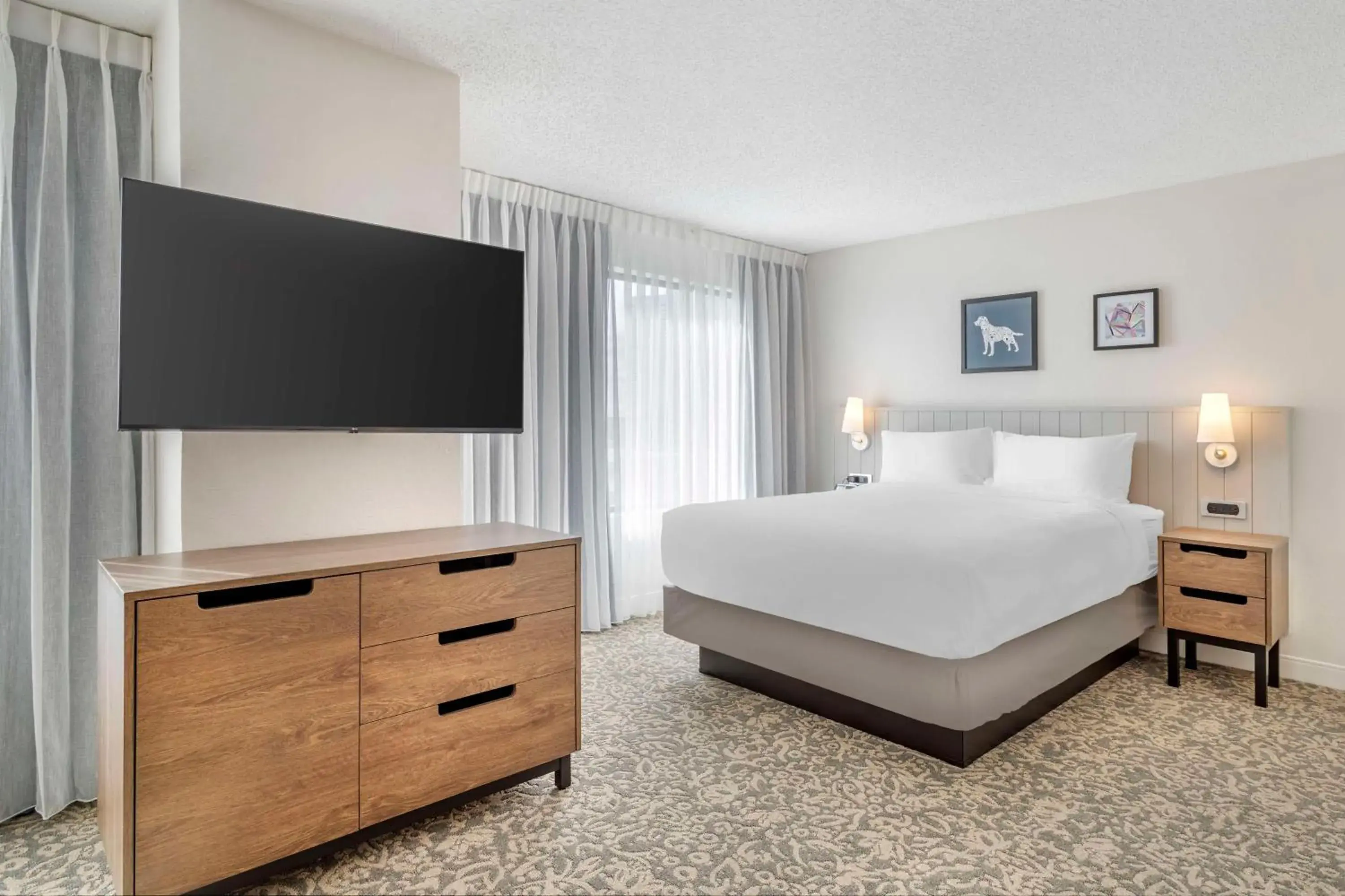 Studio Suite Queen in Sonesta ES Suites San Antonio Downtown Alamo Plaza - Newly Renovated Studio Suite Queen in Sonesta ES Suites San Antonio Downtown Alamo Plaza - Newly Renovated