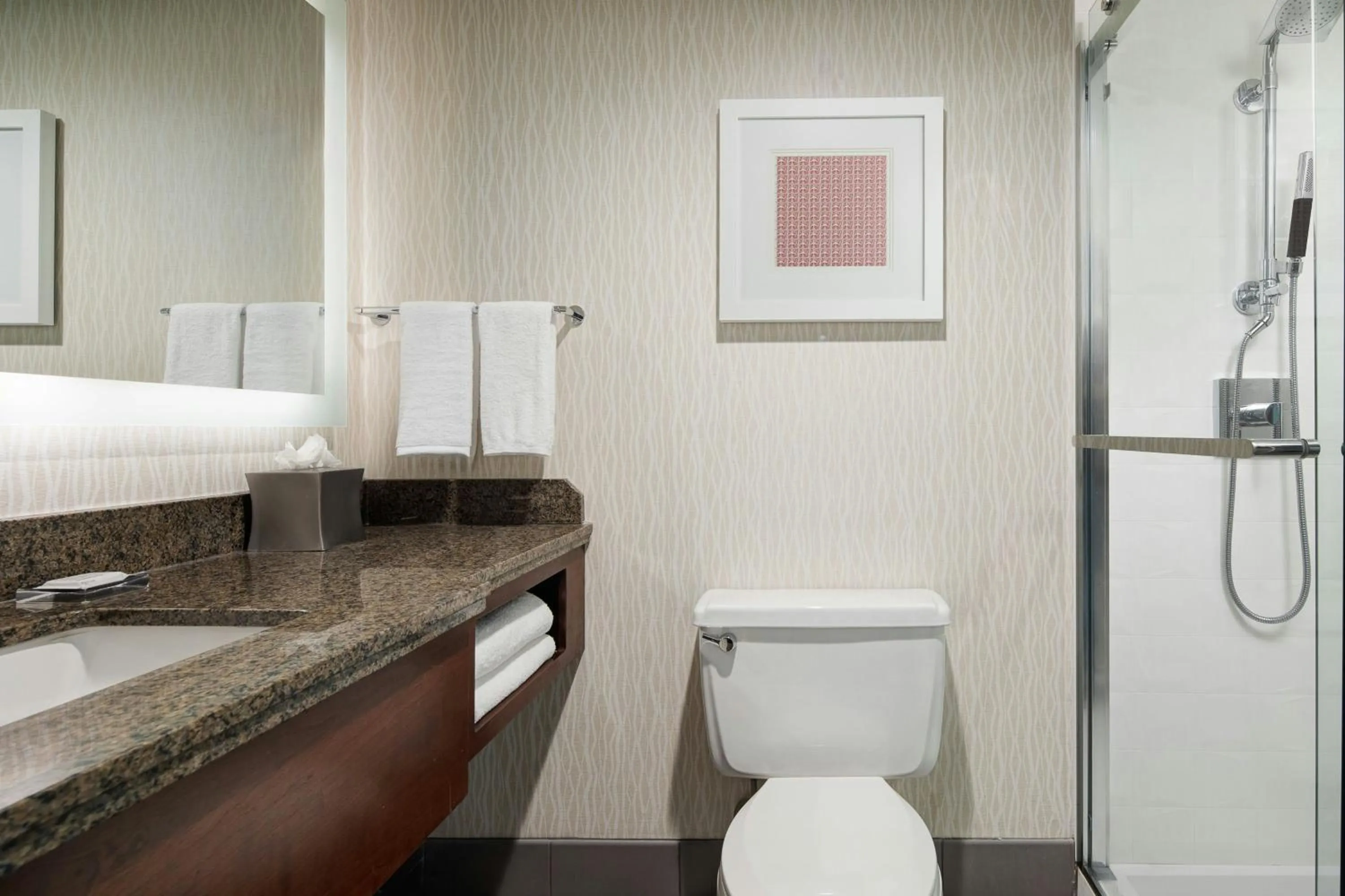 Bathroom in Marriott St. Louis Airport