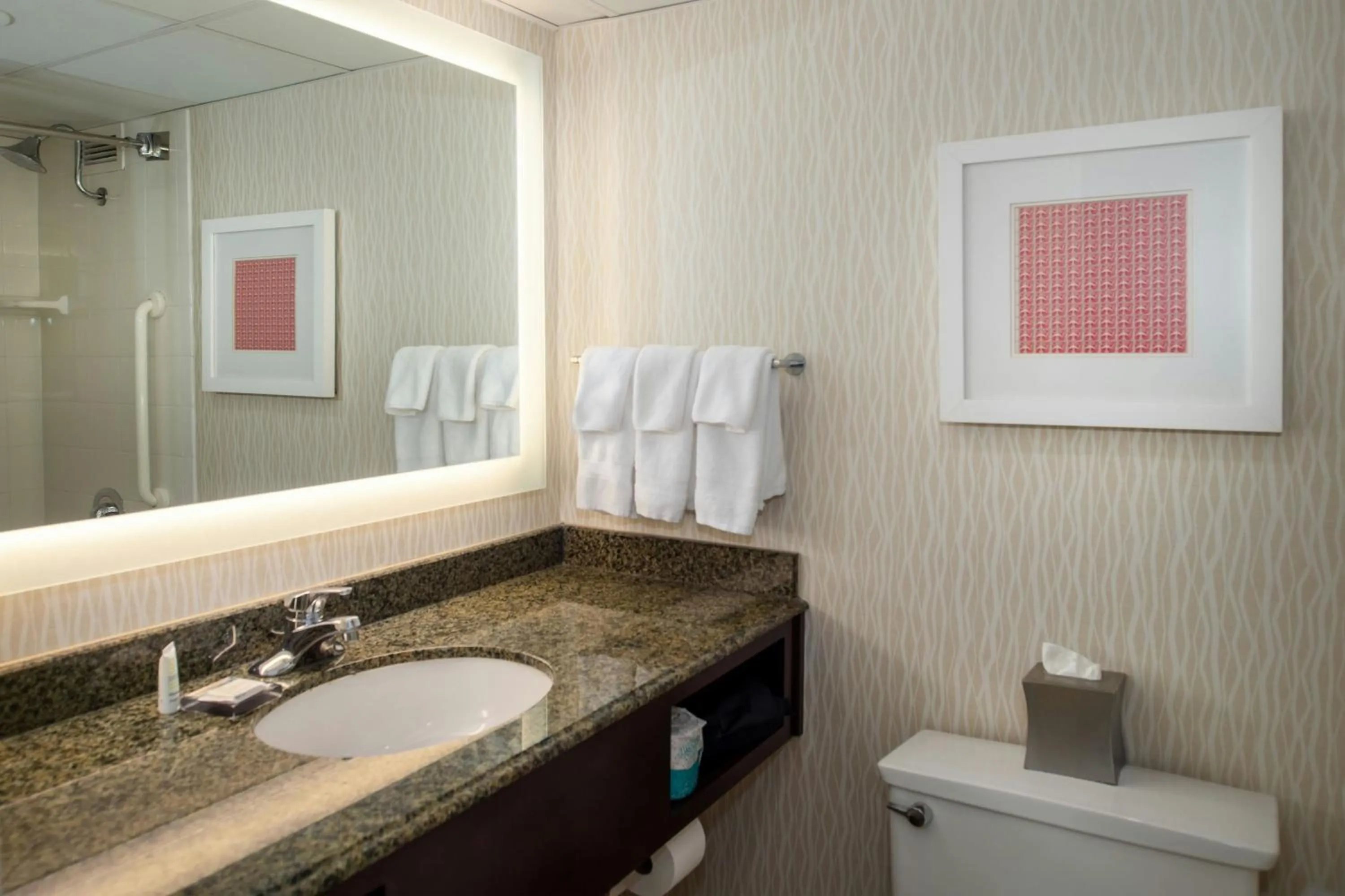 Bathroom in Marriott St. Louis Airport