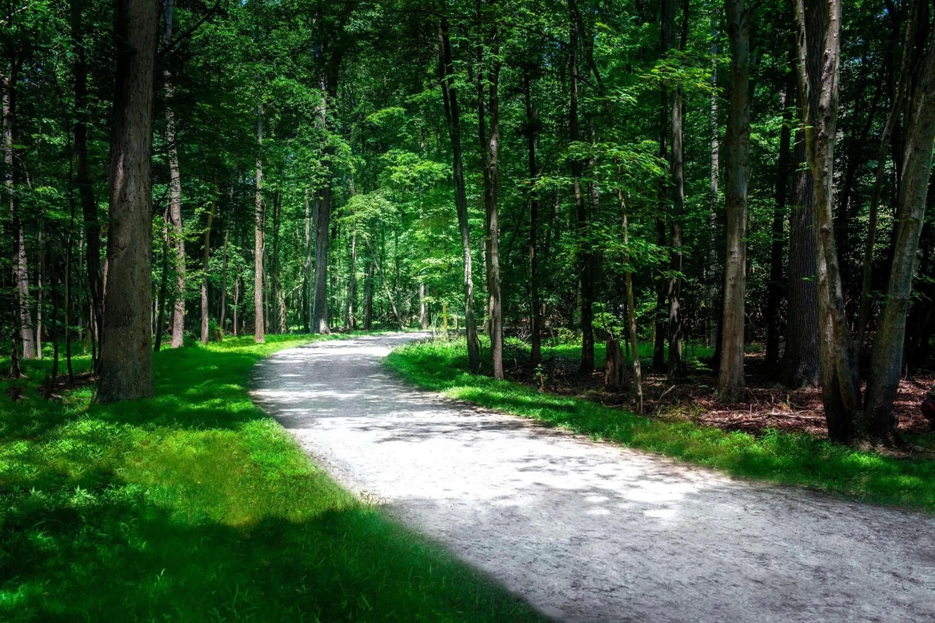 Other in Princeton Marriott at Forrestal