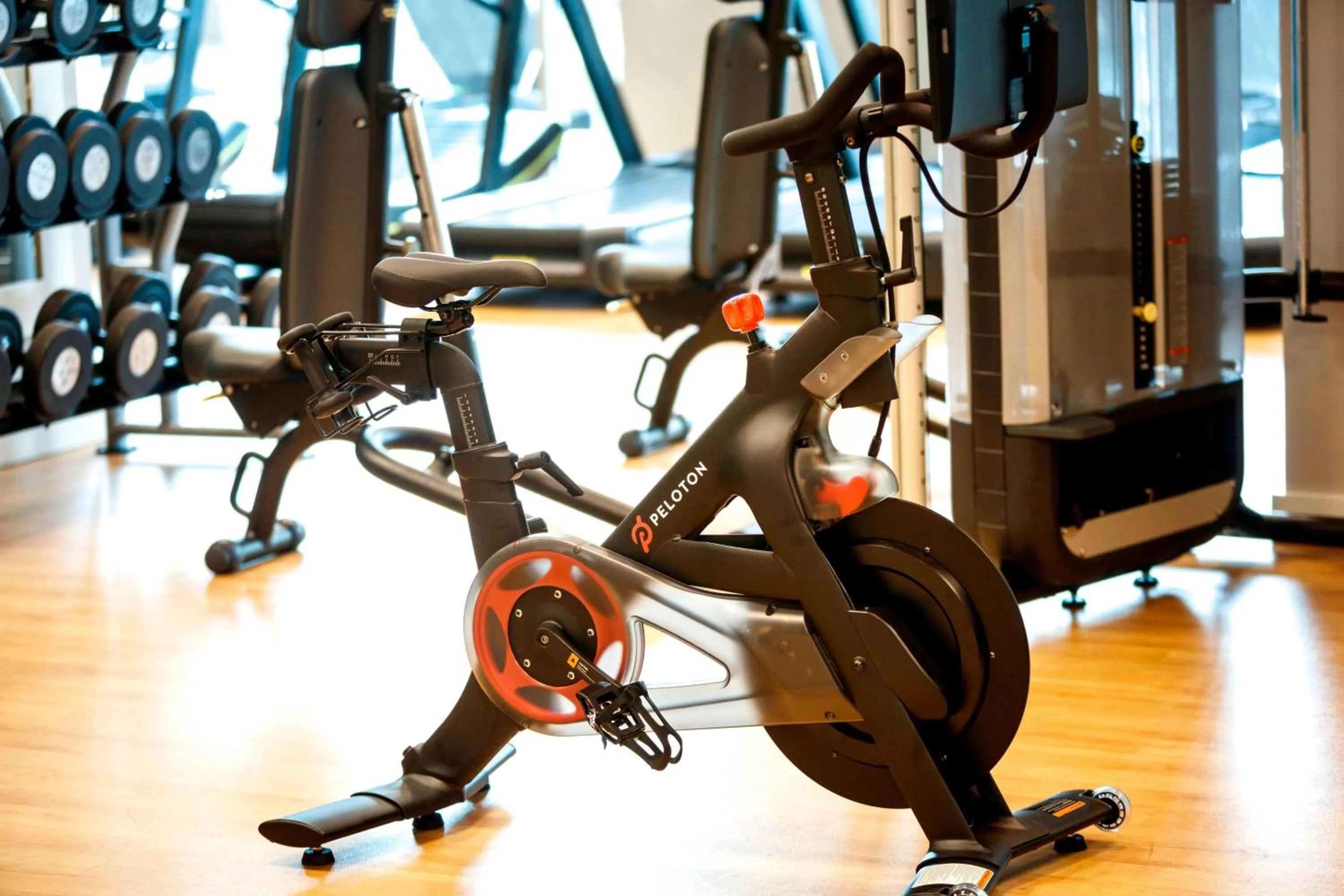 Fitness centre/facilities in Renaissance Tampa International Plaza Hotel