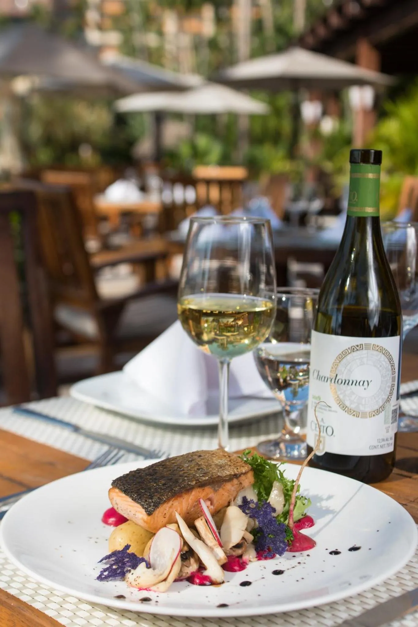 Day in Club Regina Puerto Vallarta