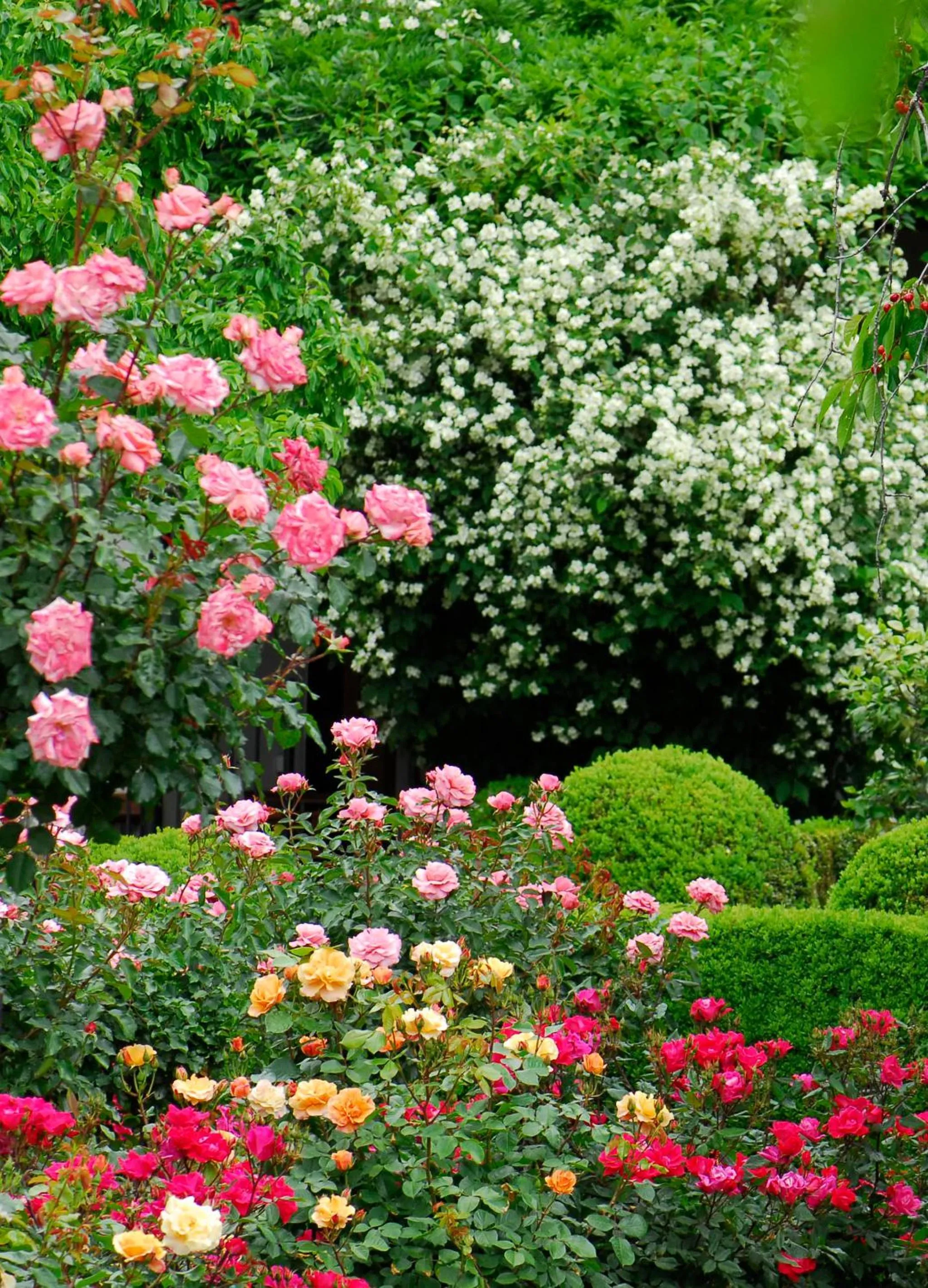 Garden in El Jardín del Convento, Casa Rural