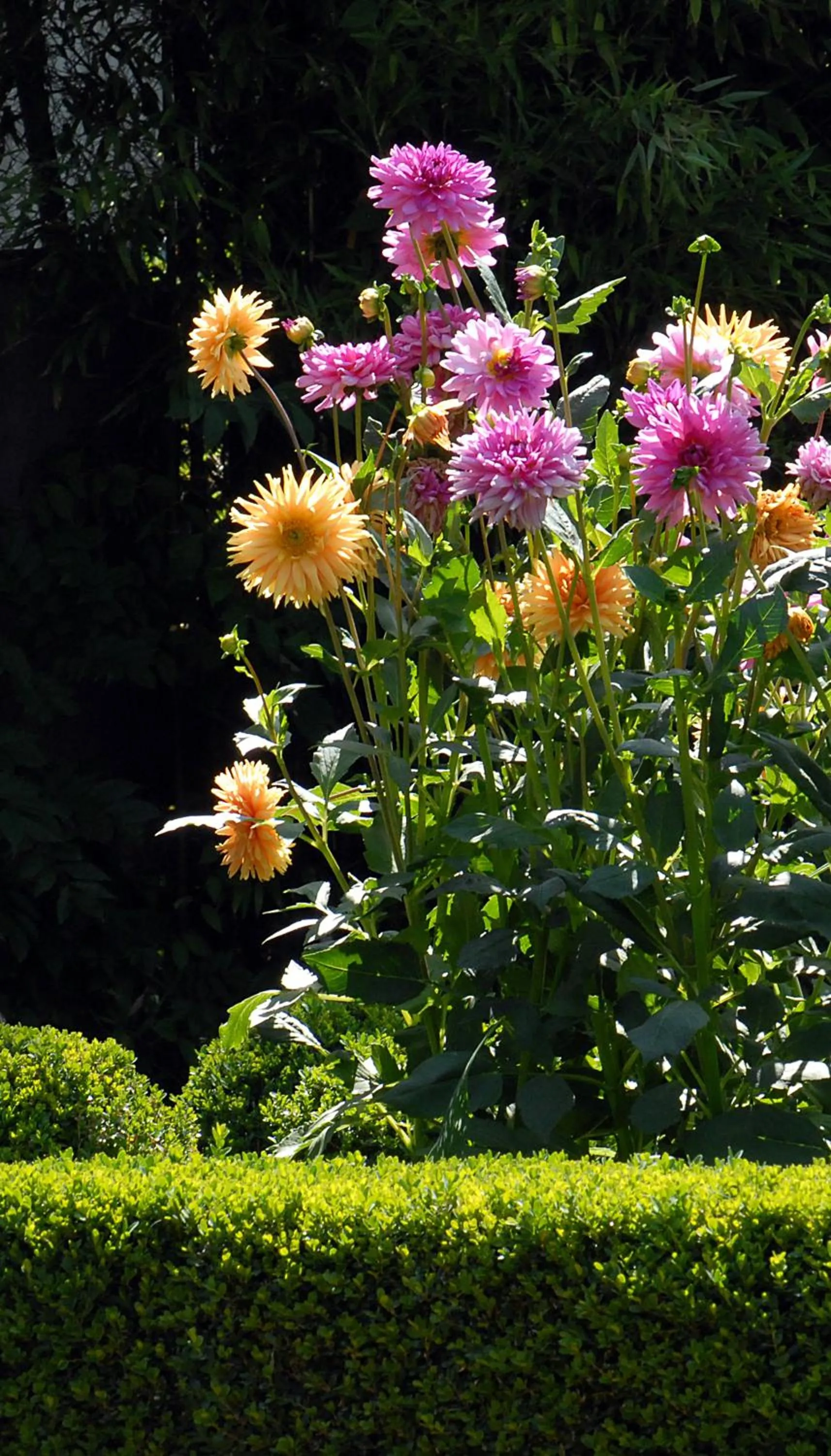 Garden in El Jardín del Convento, Casa Rural