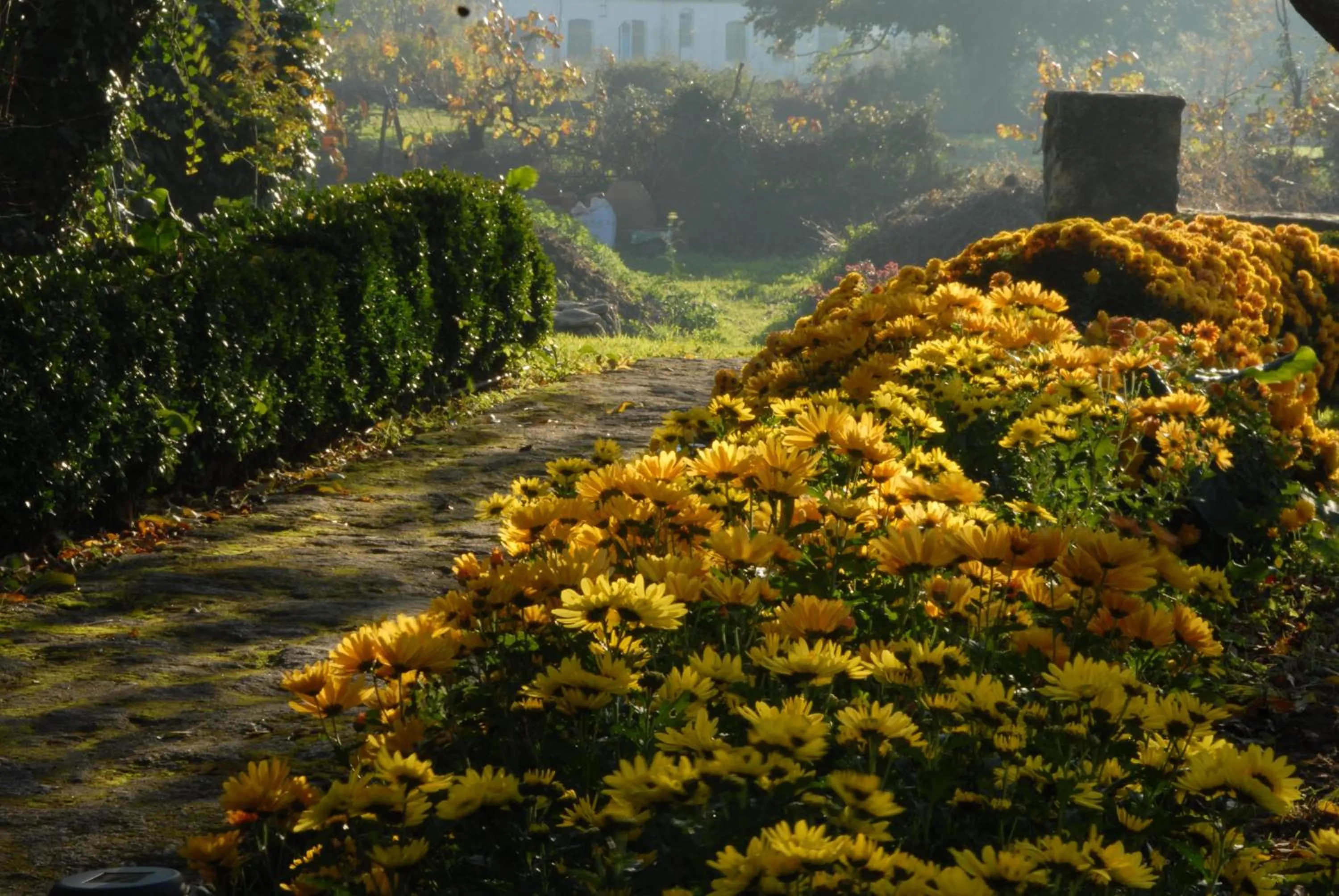 Garden in El Jardín del Convento, Casa Rural