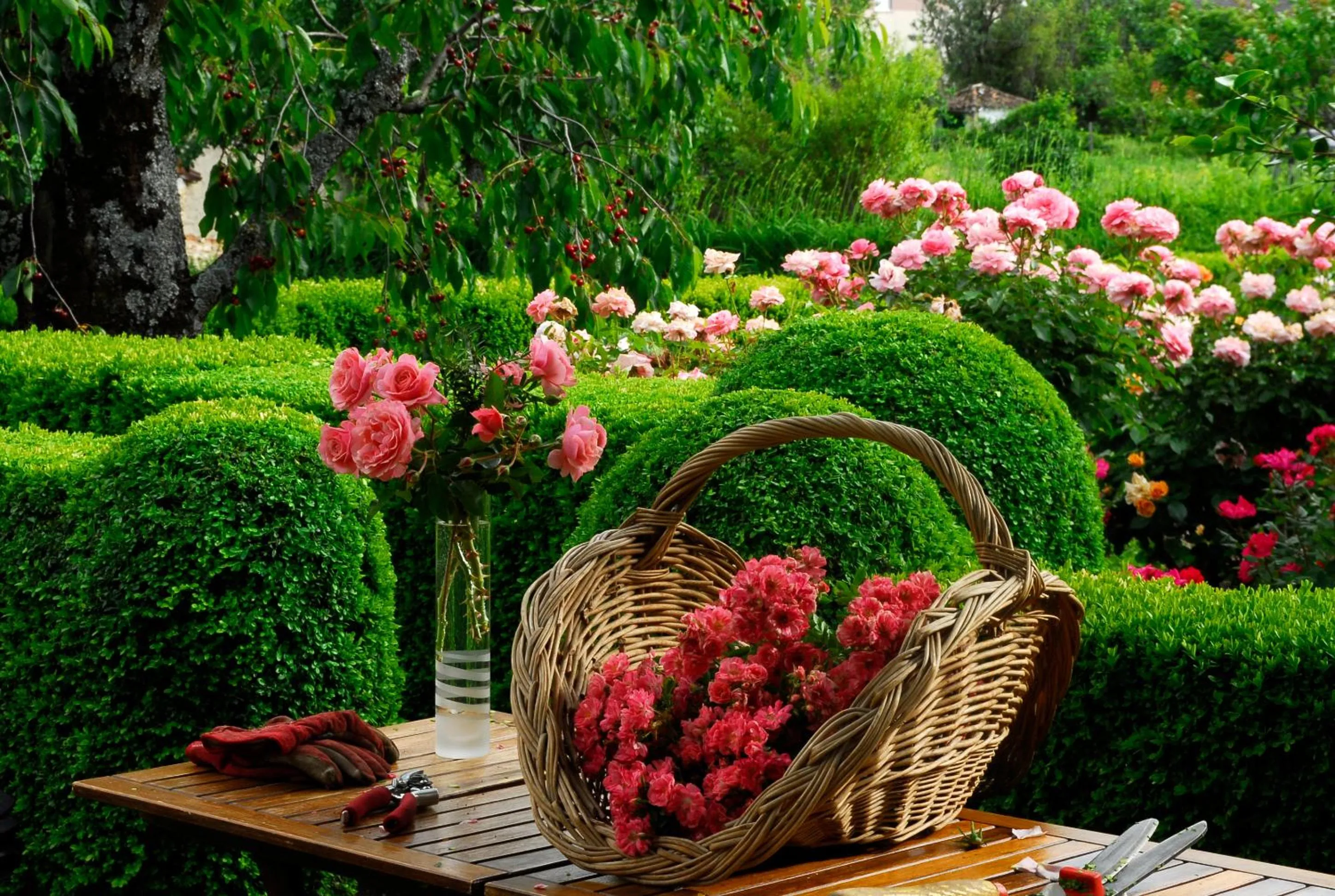 Garden in El Jardín del Convento, Casa Rural