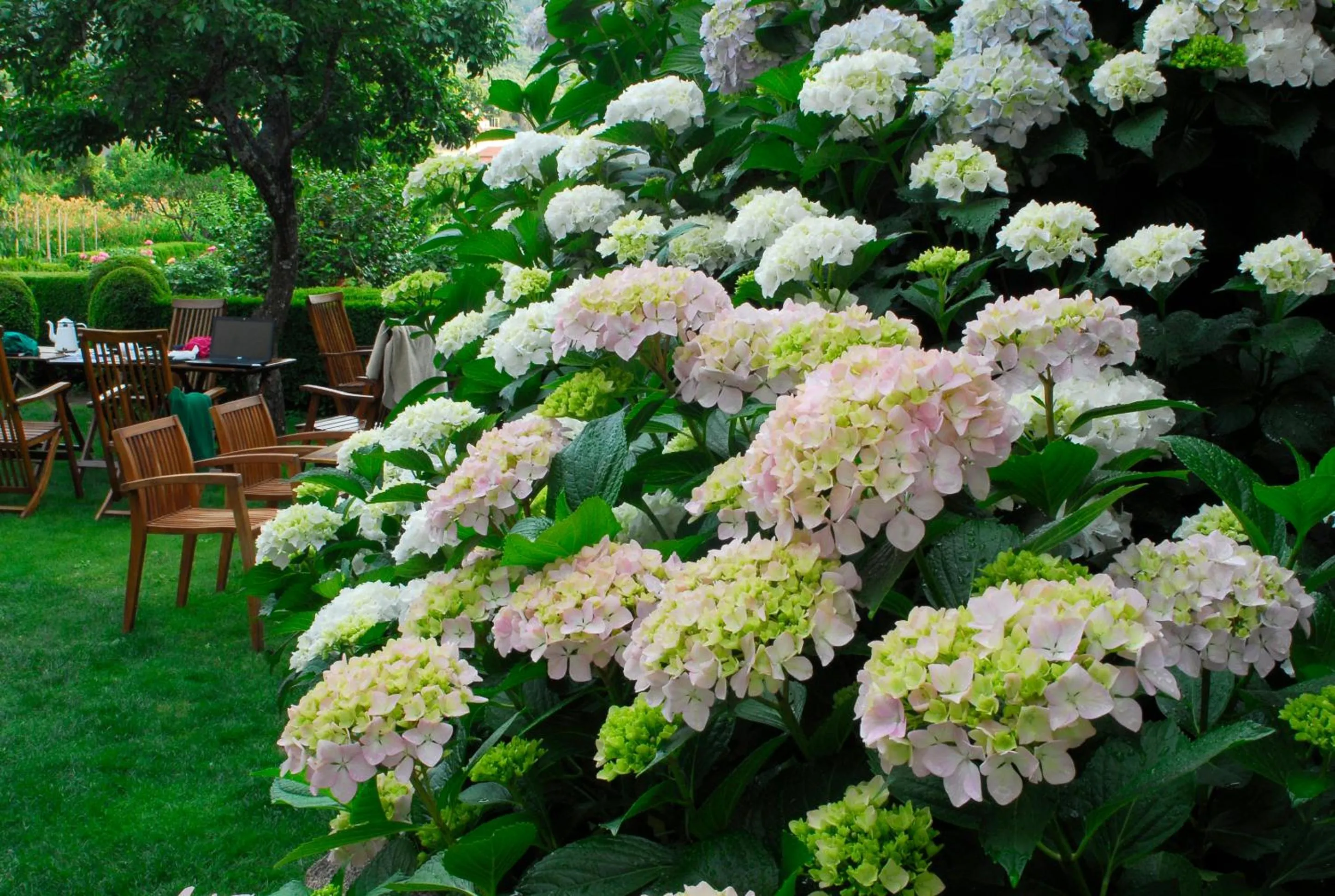 Garden in El Jardín del Convento, Casa Rural