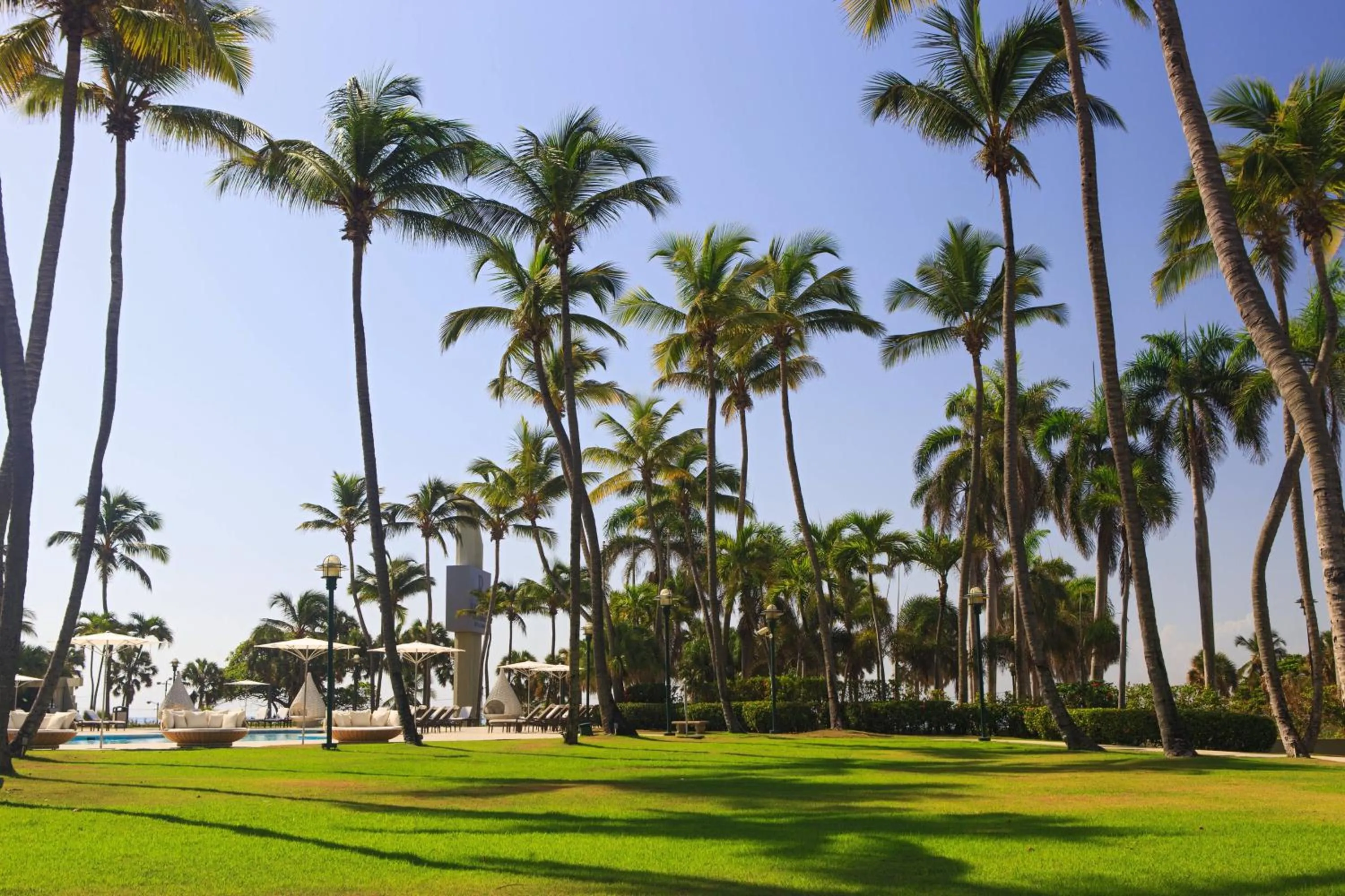 View (from property/room) in Renaissance Santo Domingo Jaragua Hotel & Casino