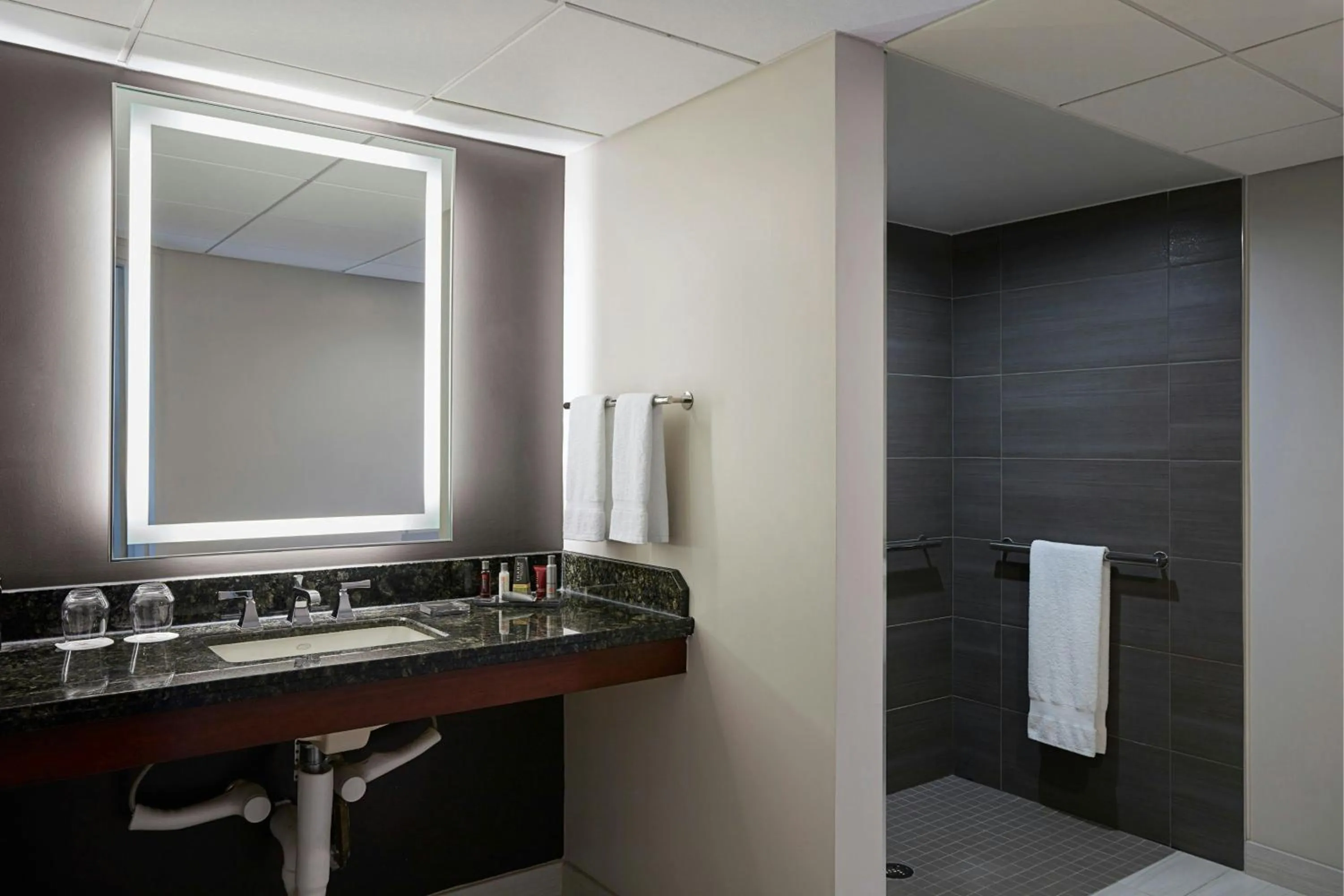 Bathroom in Bethesda Marriott