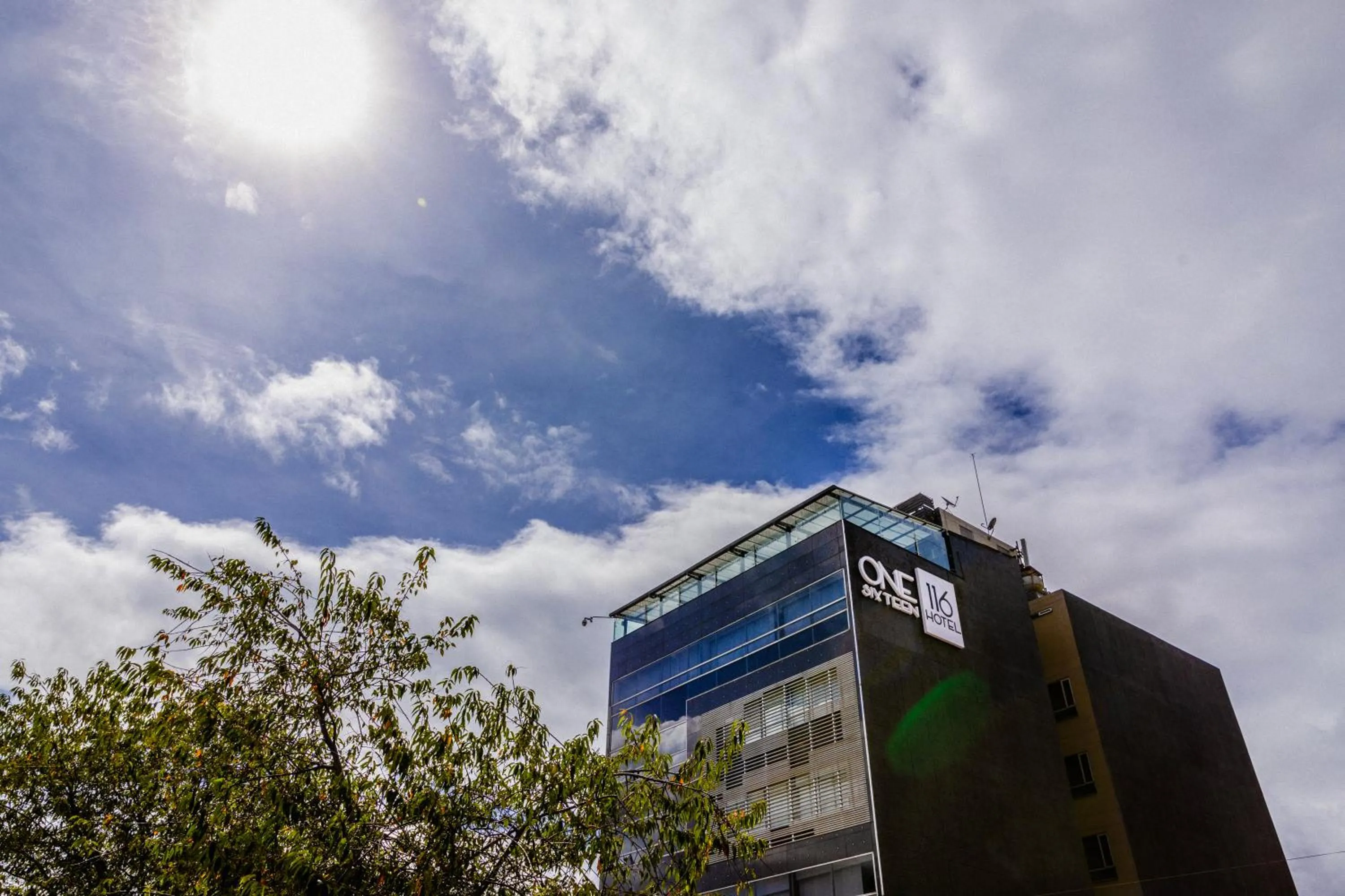 View (from property/room) in One Sixteen Hotel