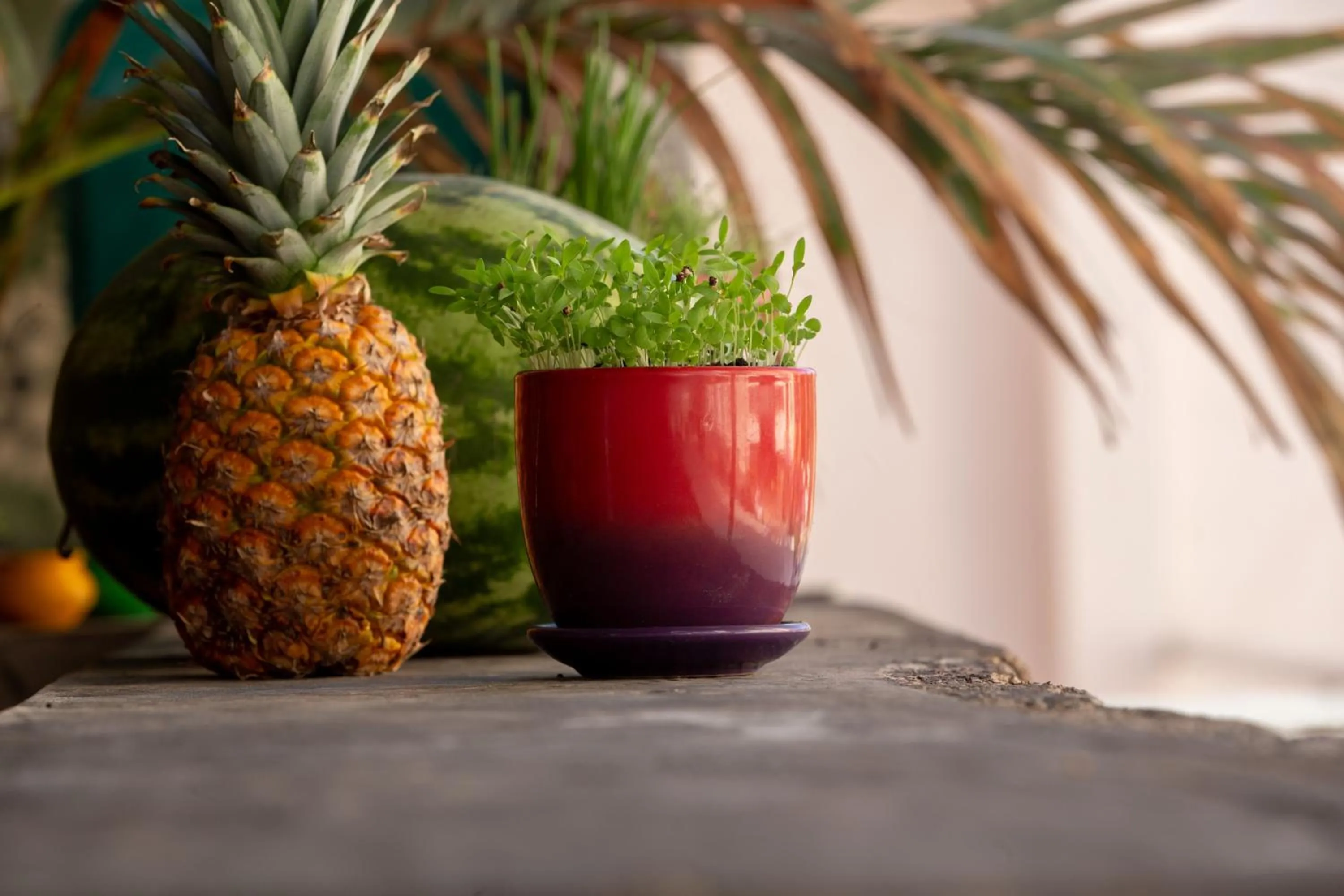 Day in Hotel Barahona Cartagena