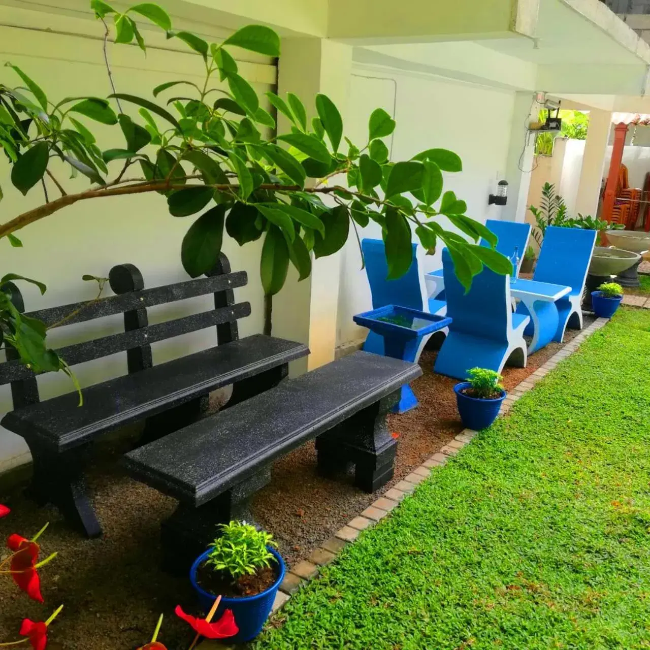 Superior Suite in Elliot Nature Resort Superior Suite in Elliot Nature Resort