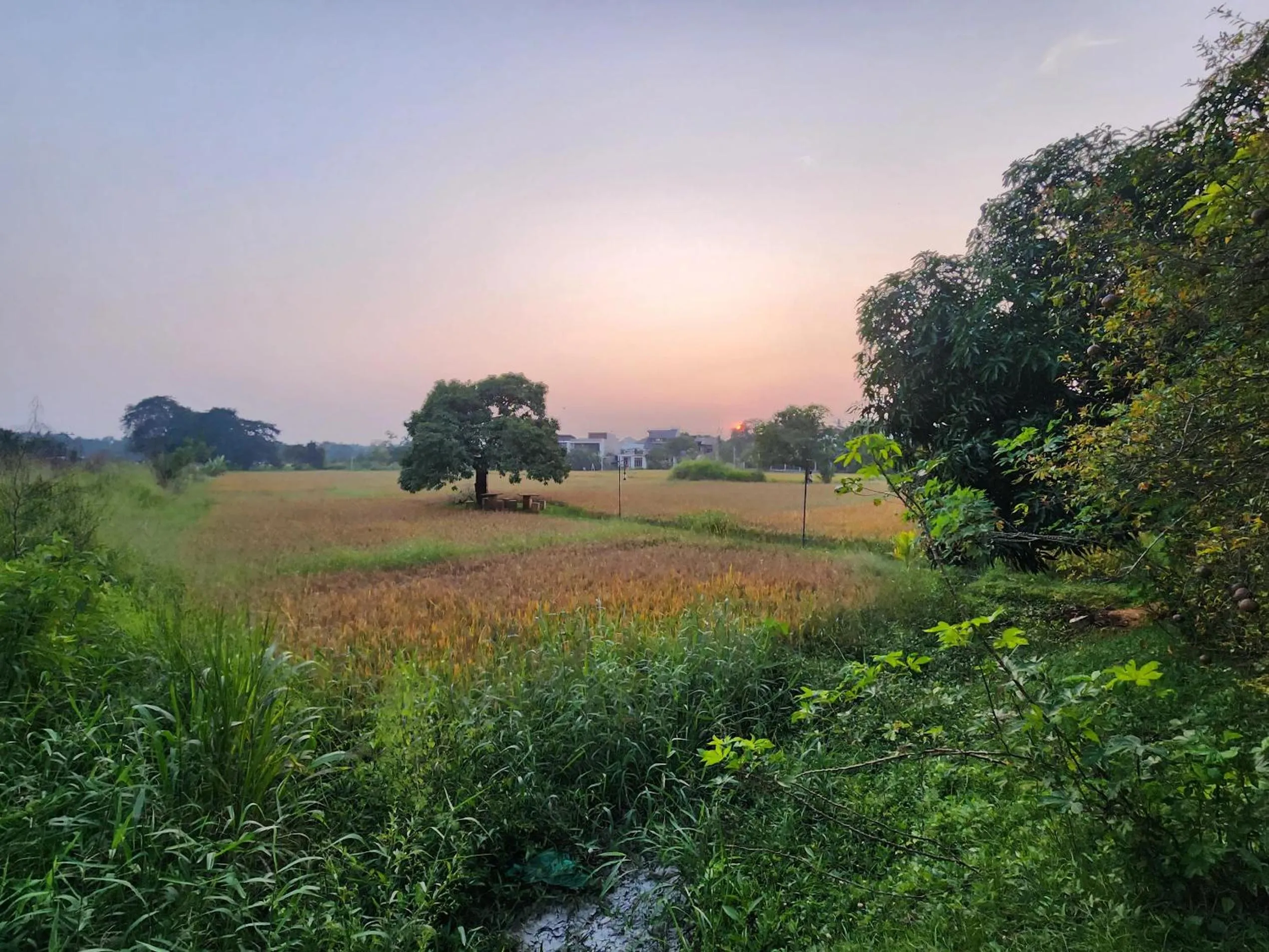 Day in Kubura Resort