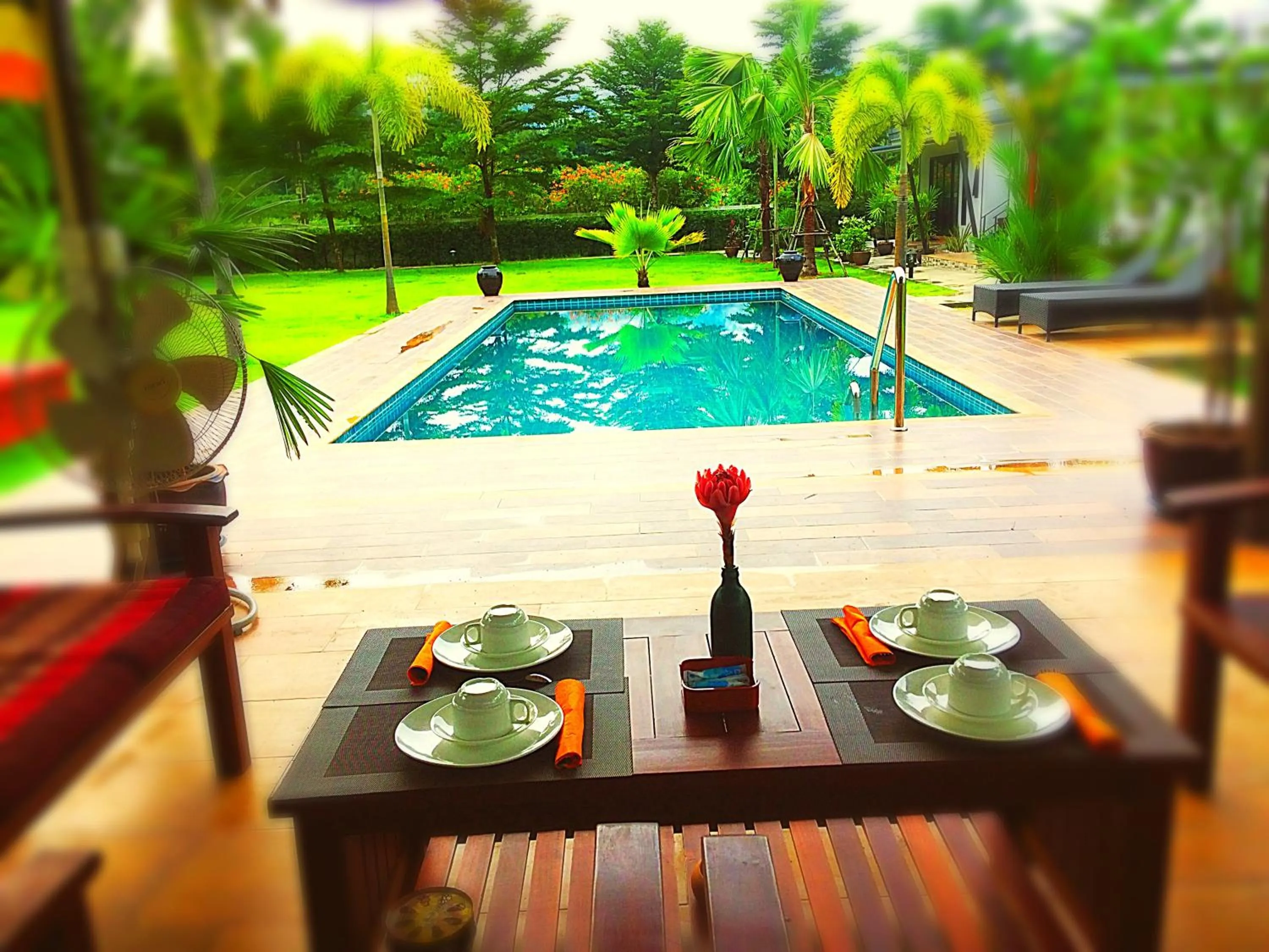 Swimming pool in B&B Forest Hill Khao Yai